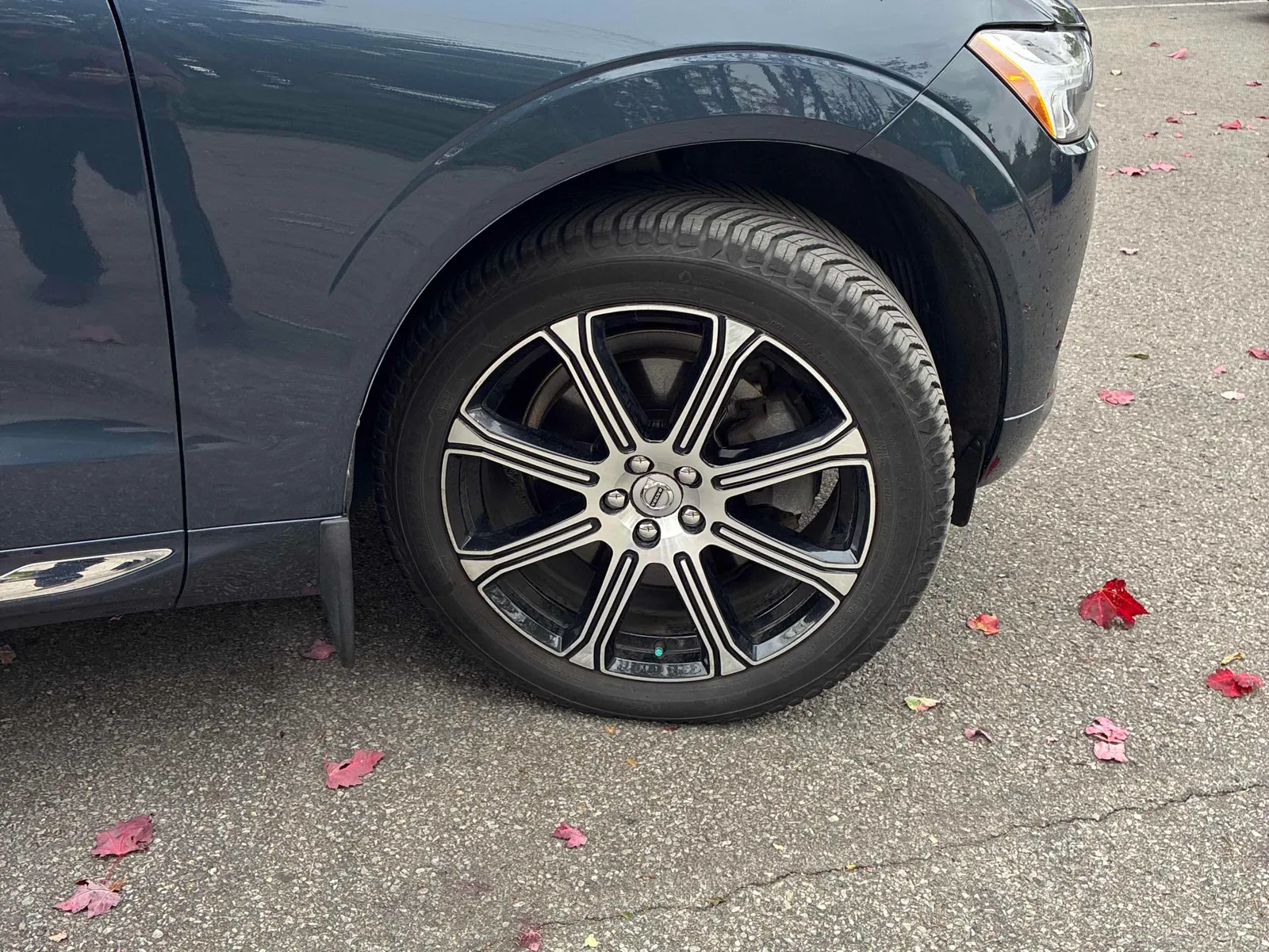 Tire