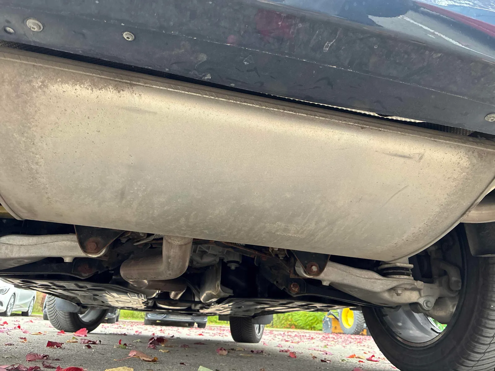 Additional Photo