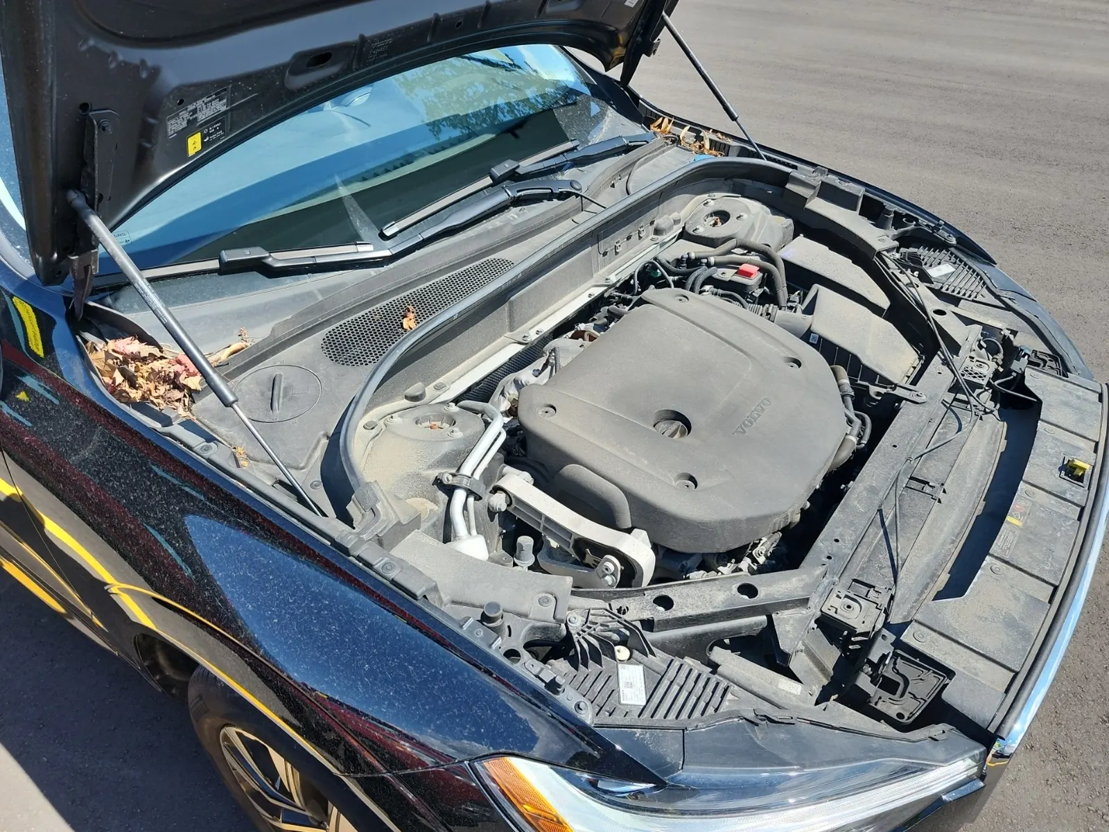 Engine Photo