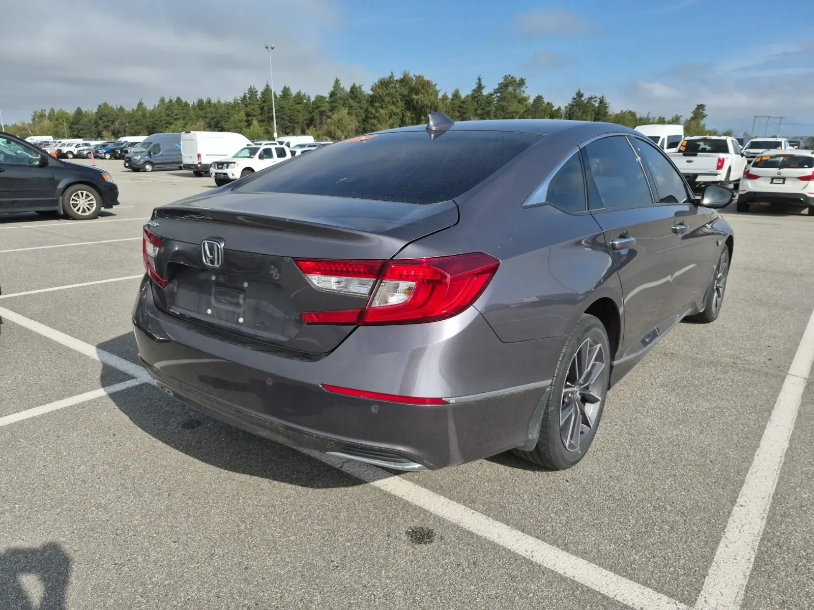 Passenger Rear 3/4 Photo