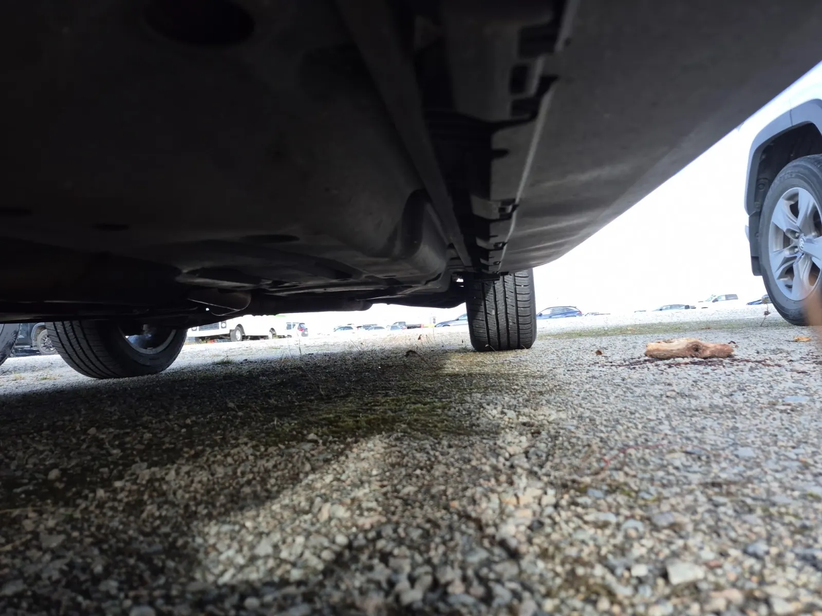 Undercarriage - Driver Photo