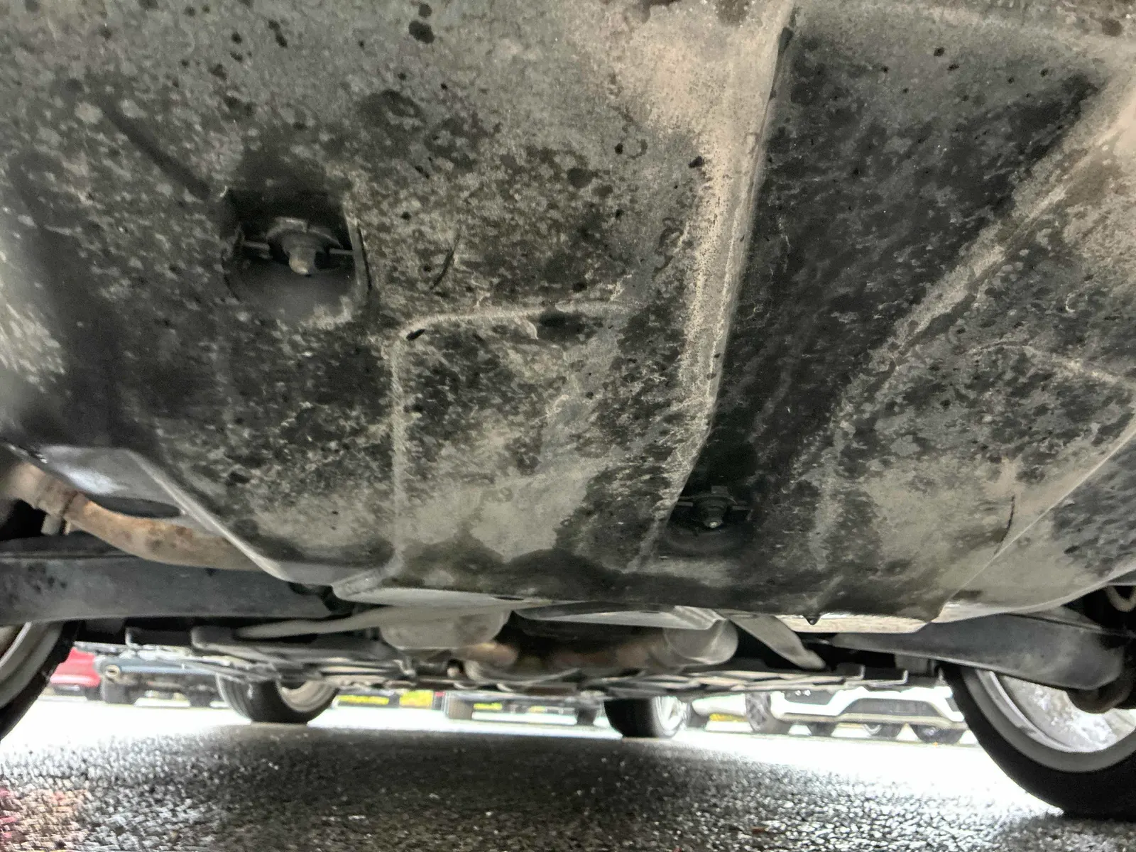 Additional Photo