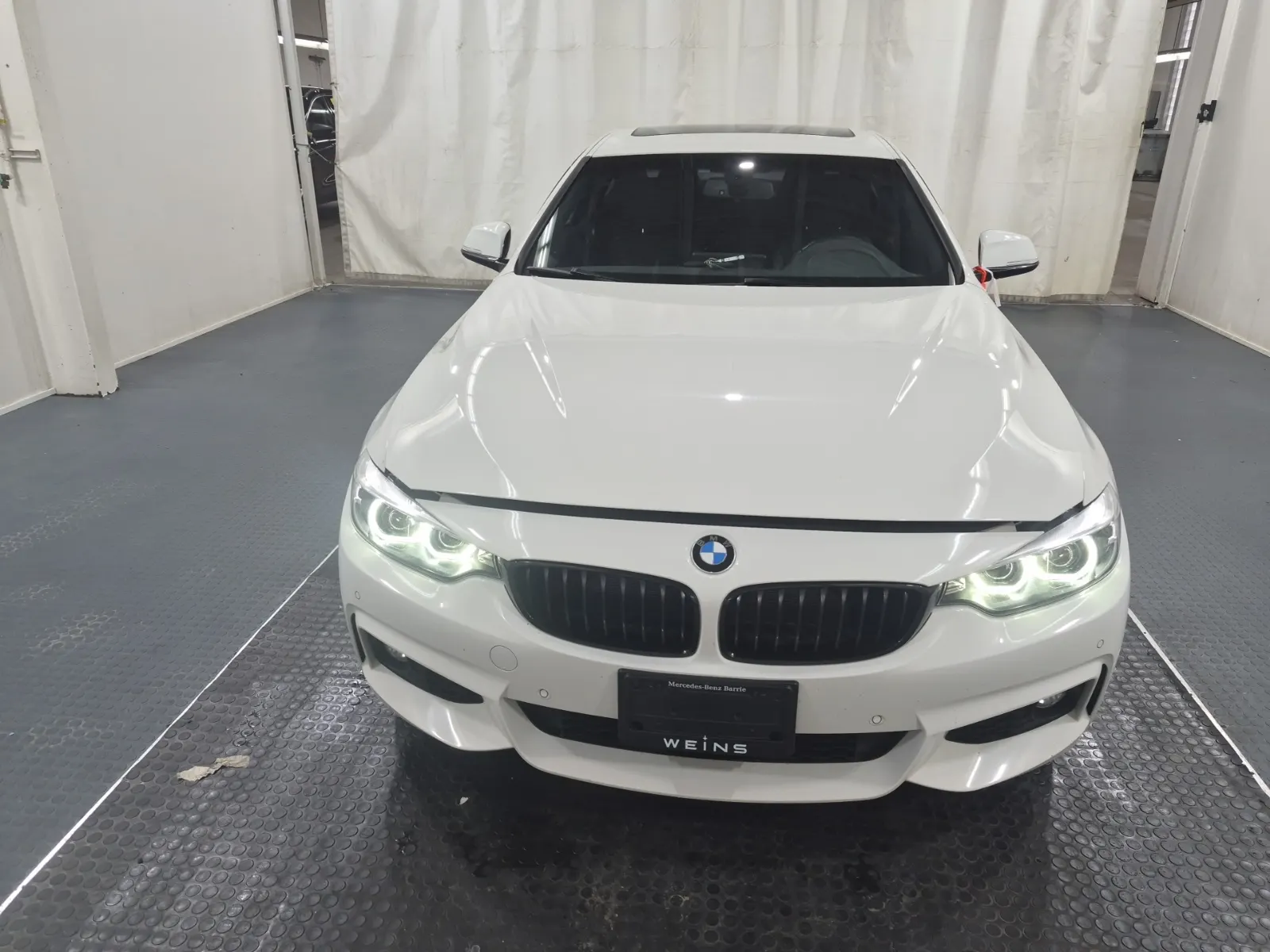 Full Front Photo