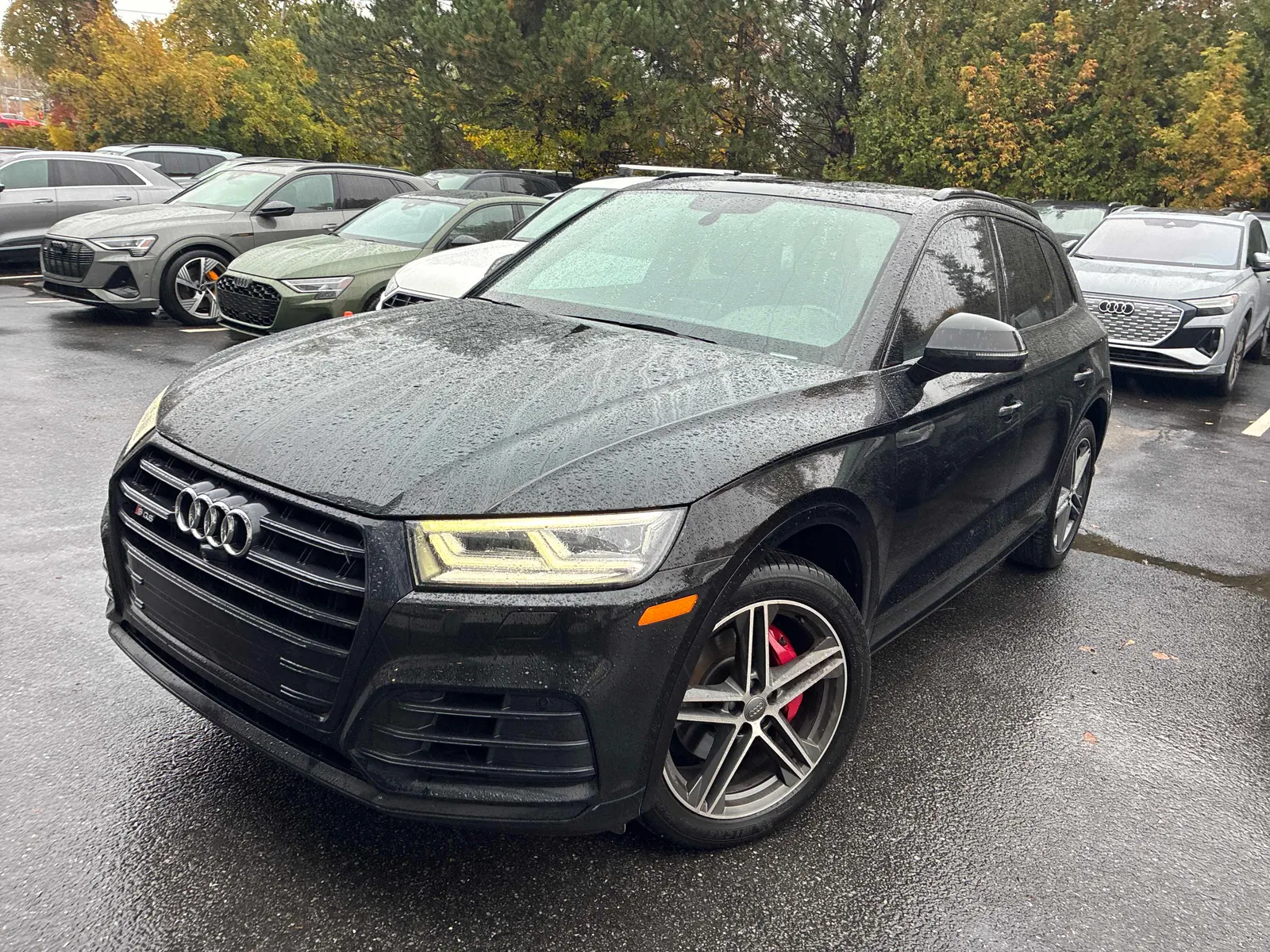 2019 Audi SQ5