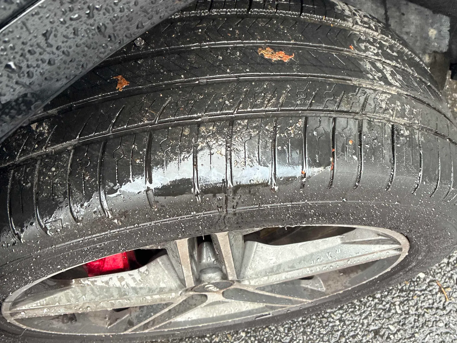 Tire