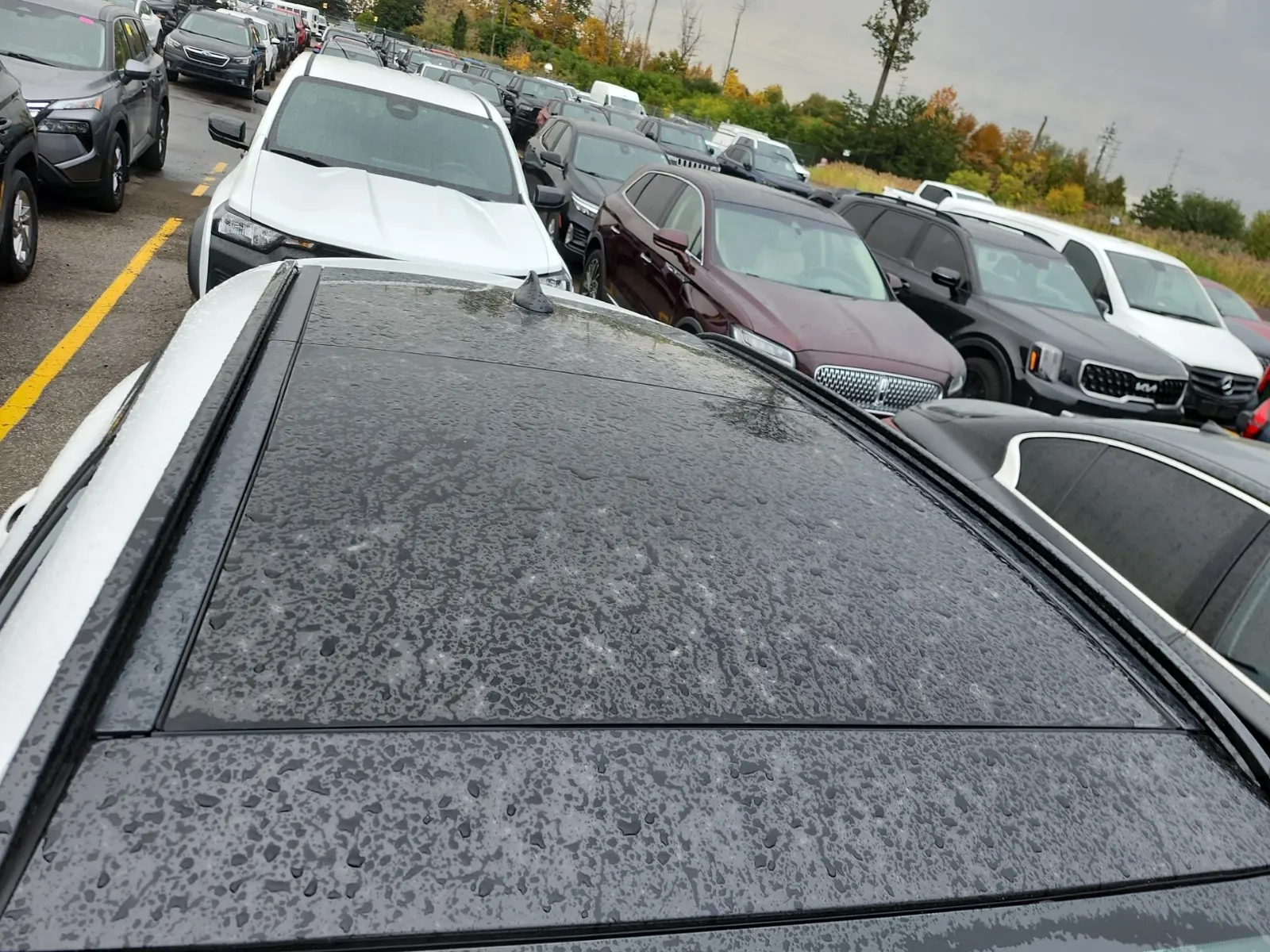 Exterior Roof Photo