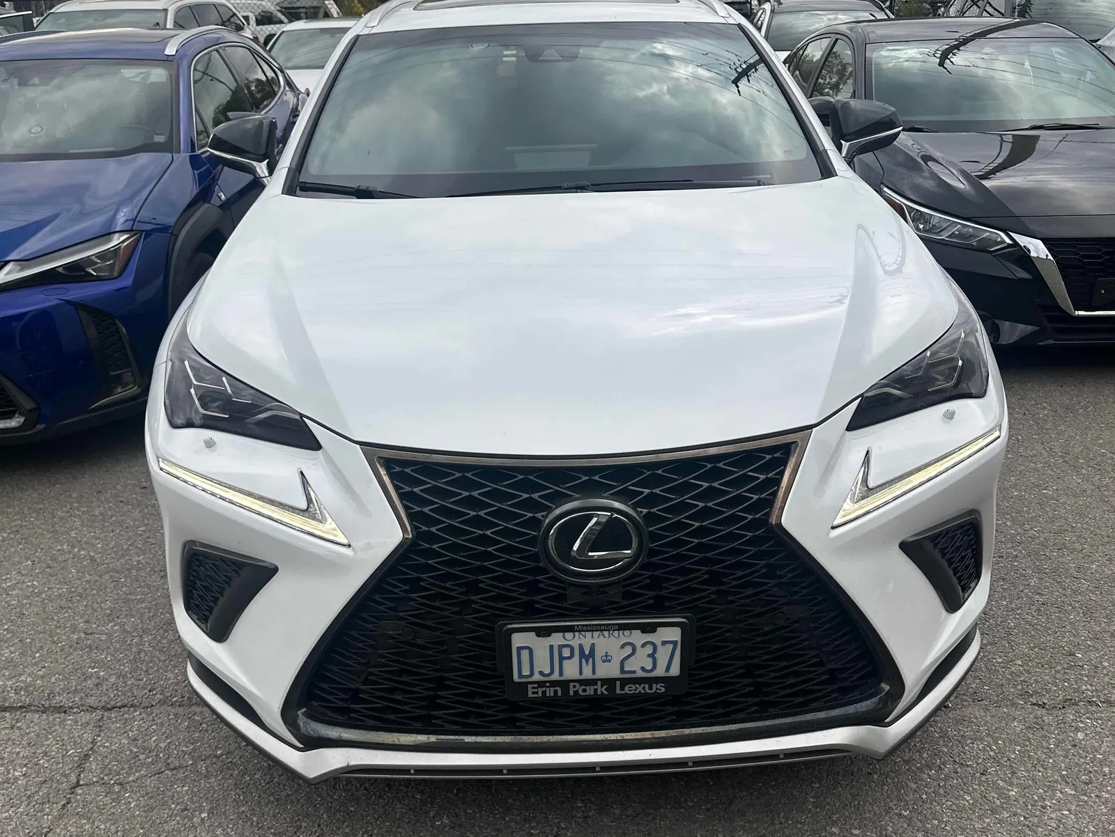 Front