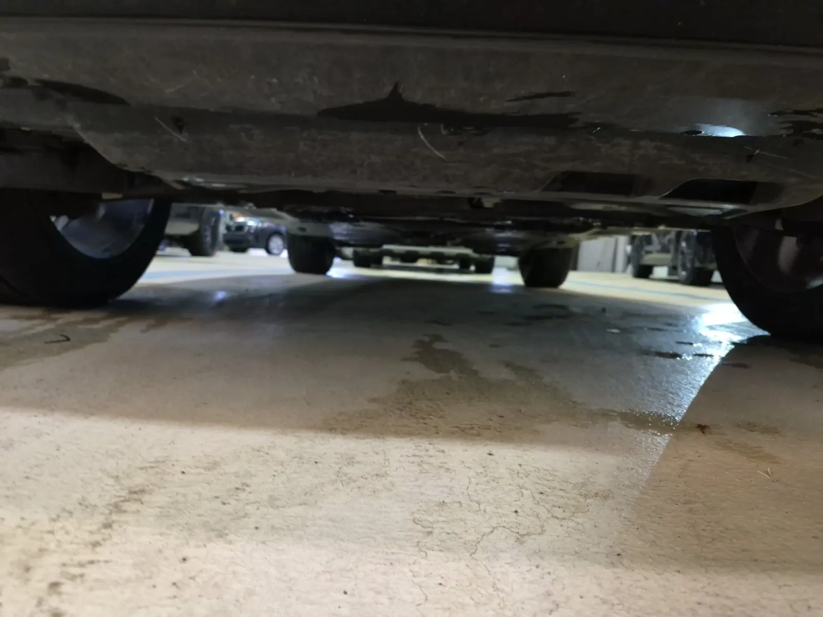 Undercarriage - Front Photo