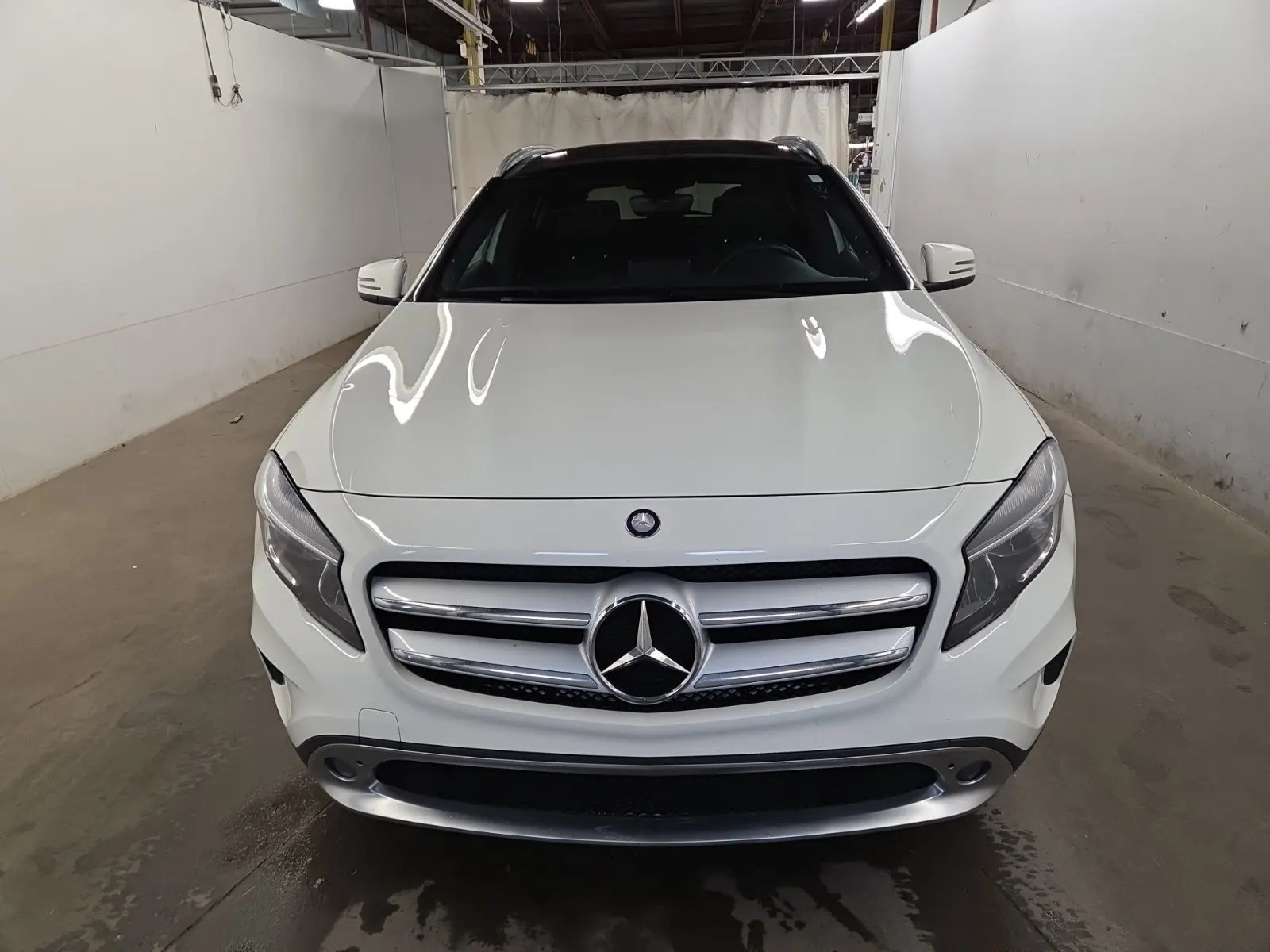 Full Front Photo