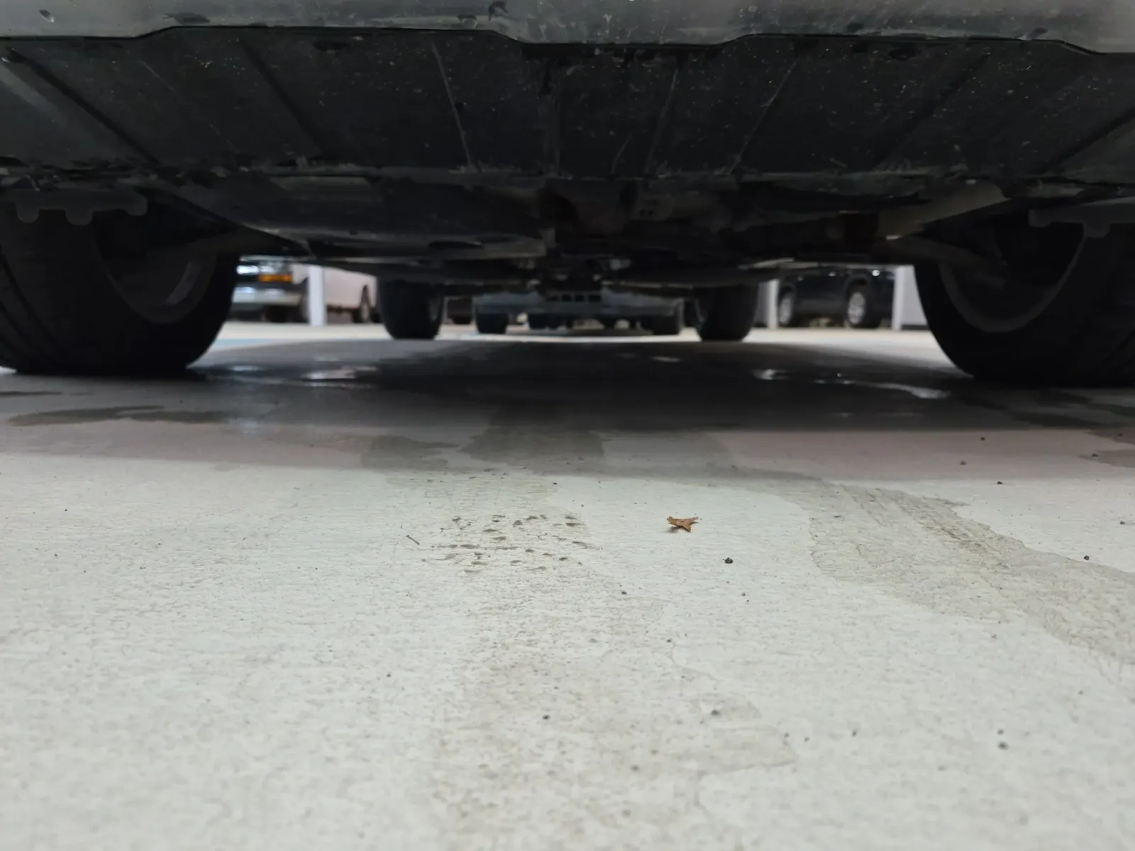 Undercarriage - Front Photo