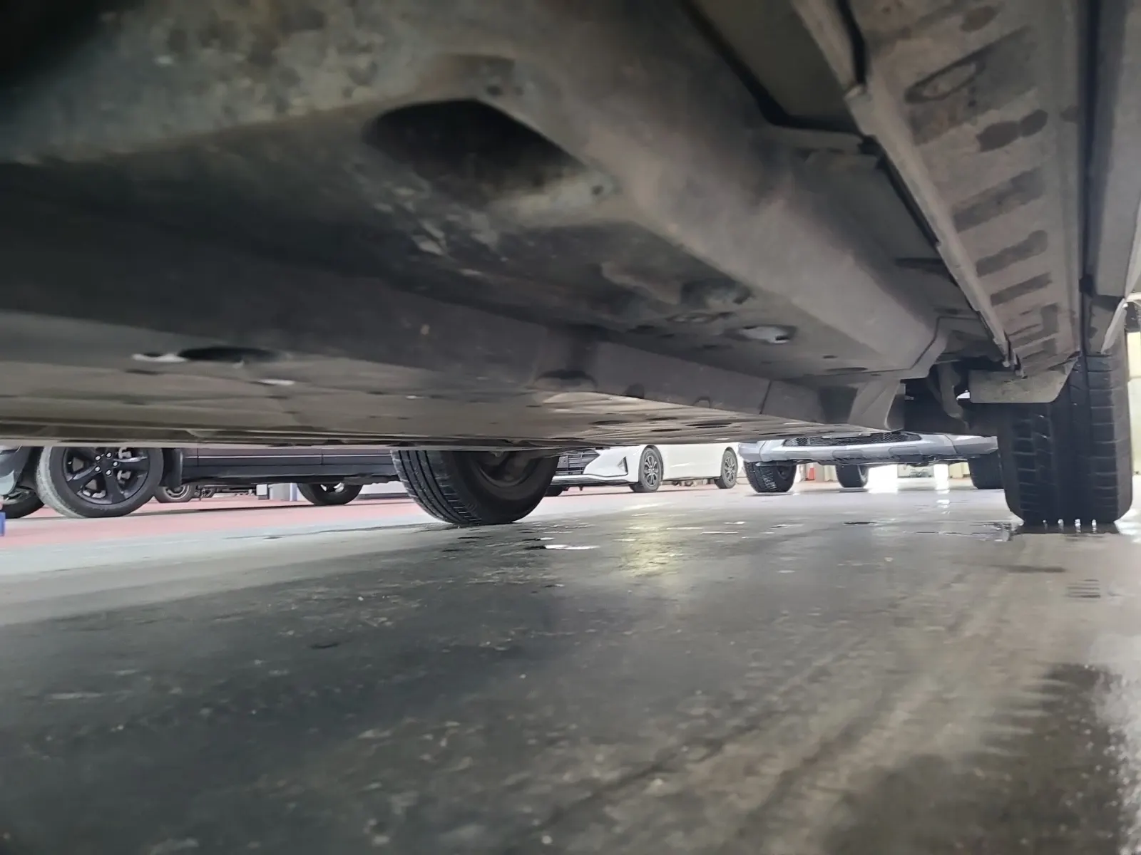 Undercarriage - Driver Photo
