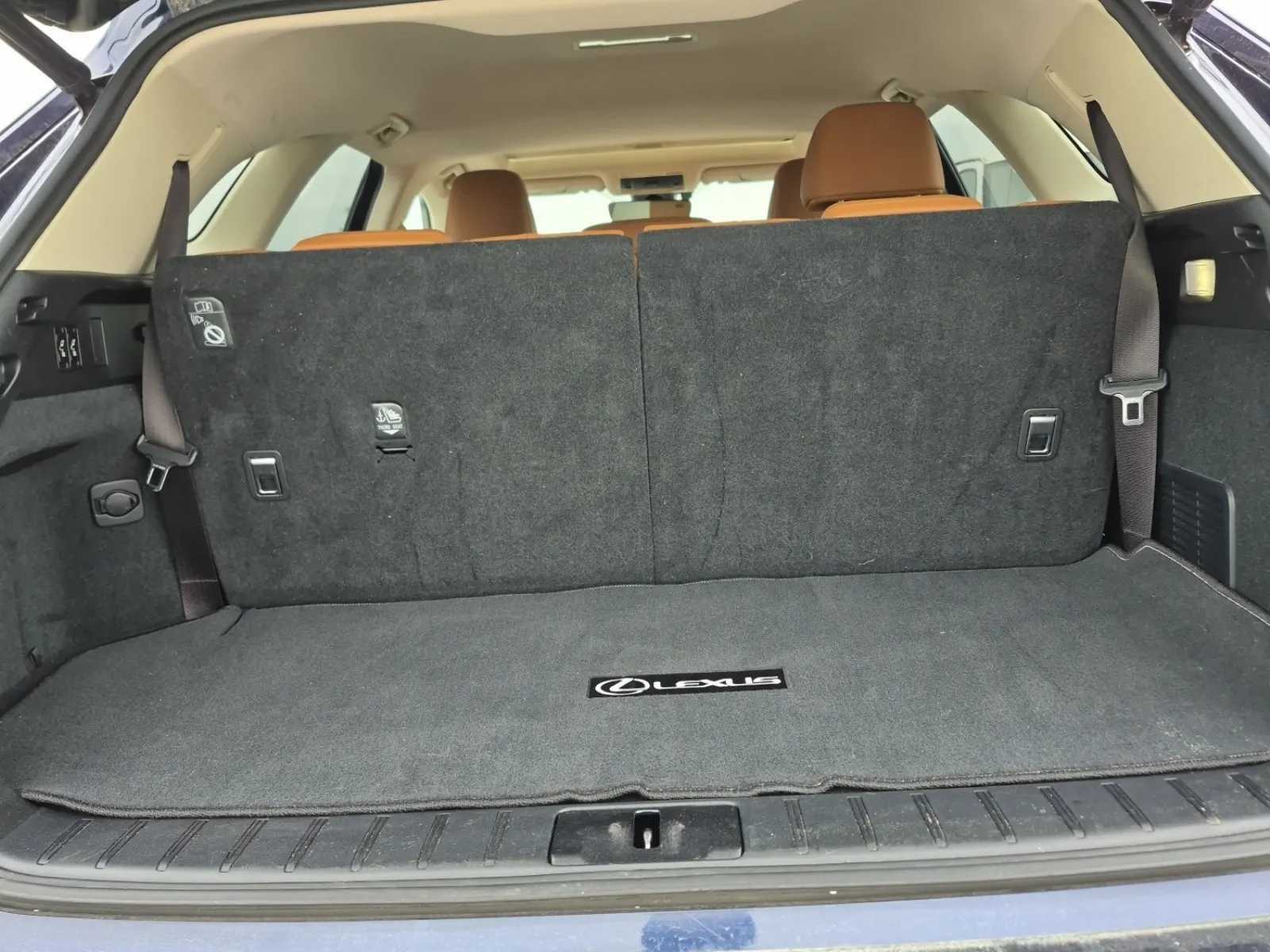 Cargo Area Photo