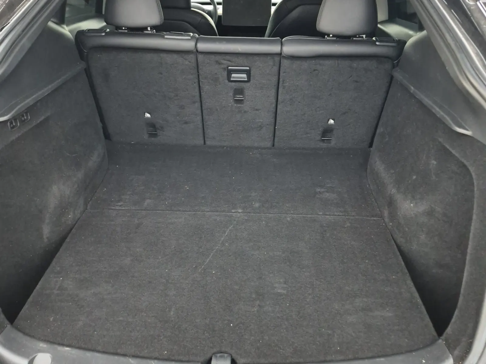 Cargo Area Photo