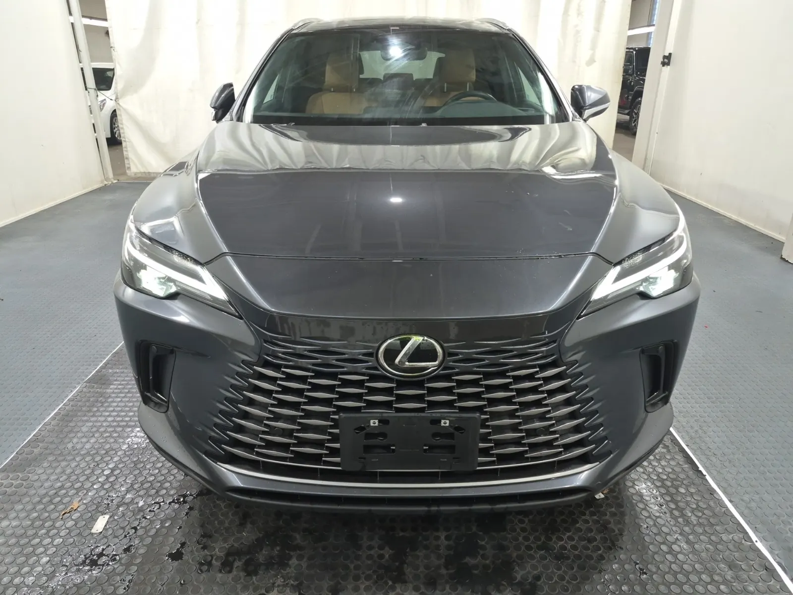 Full Front Photo