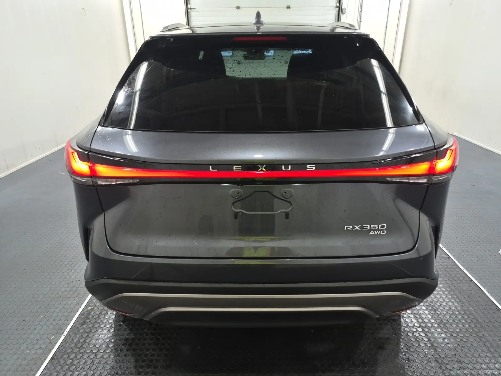 Full Rear Photo