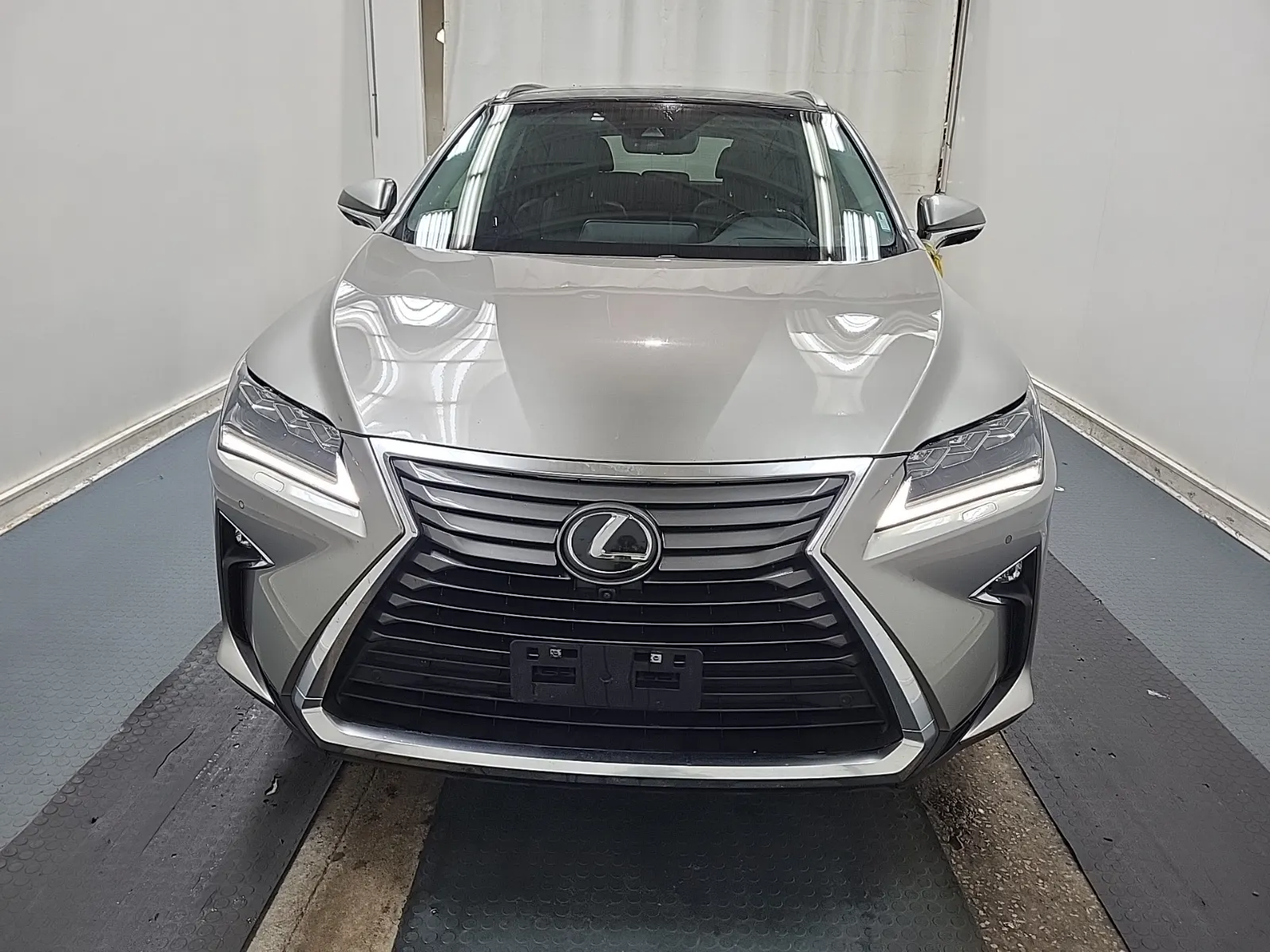 Full Front Photo