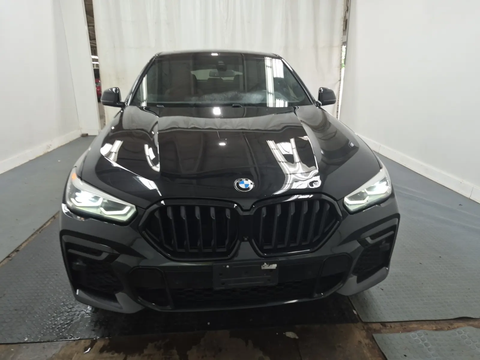 Full Front Photo