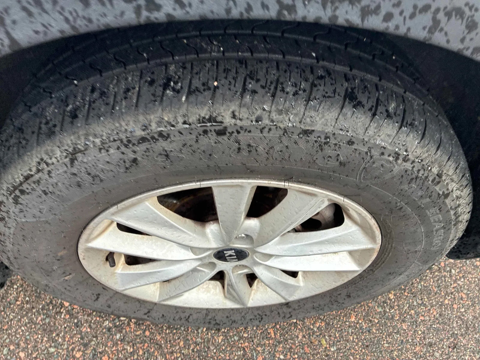 Tire