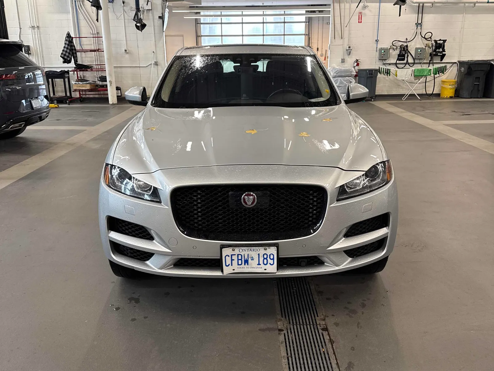 Front
