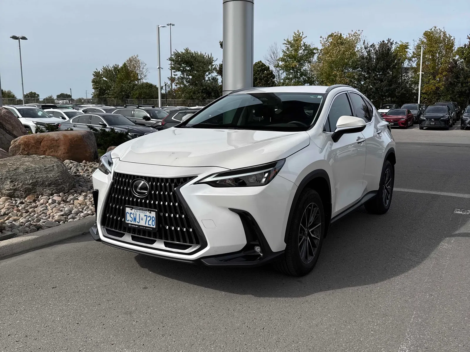 2025 Lexus NX