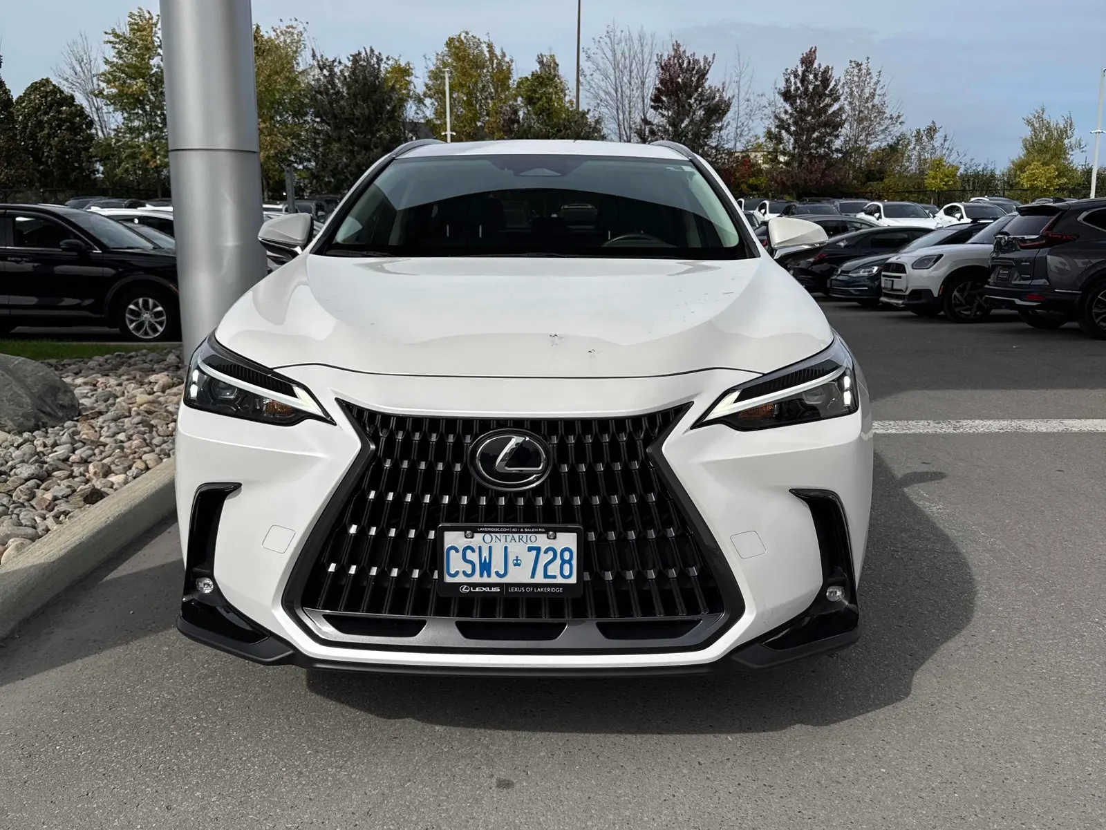 Front