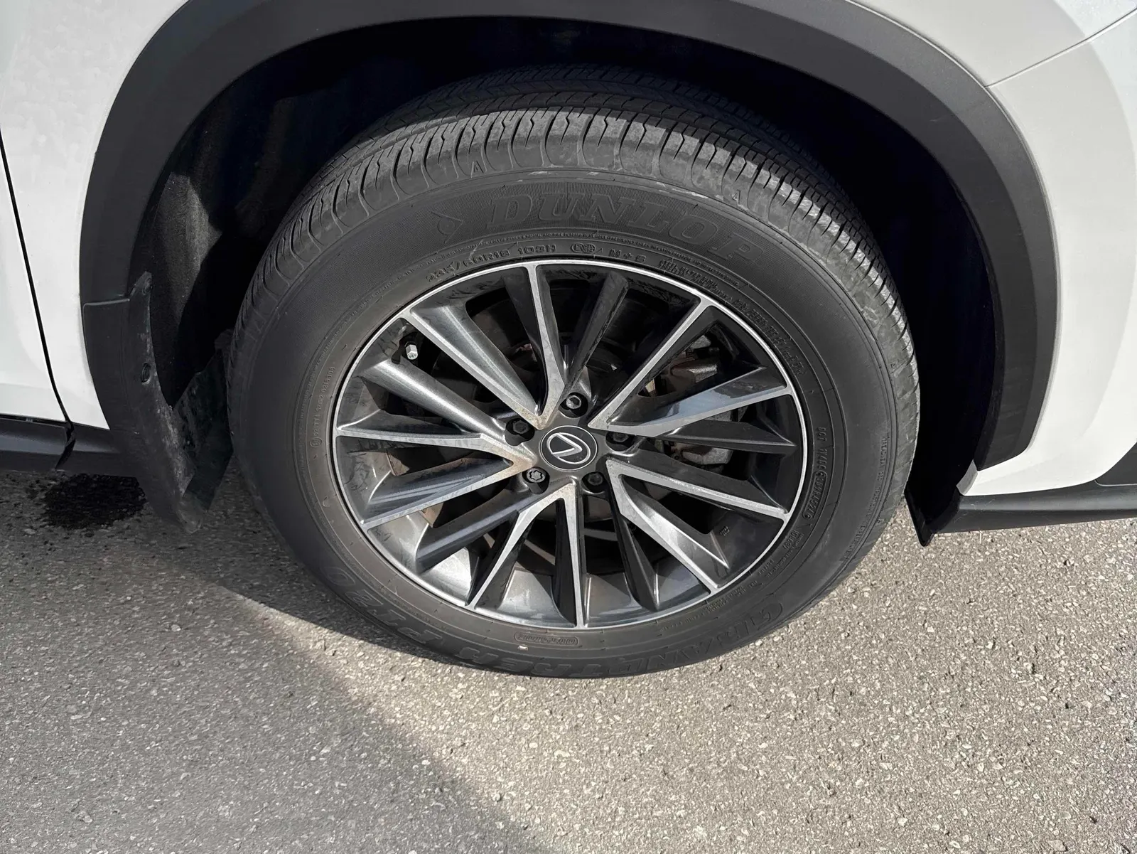 Tire