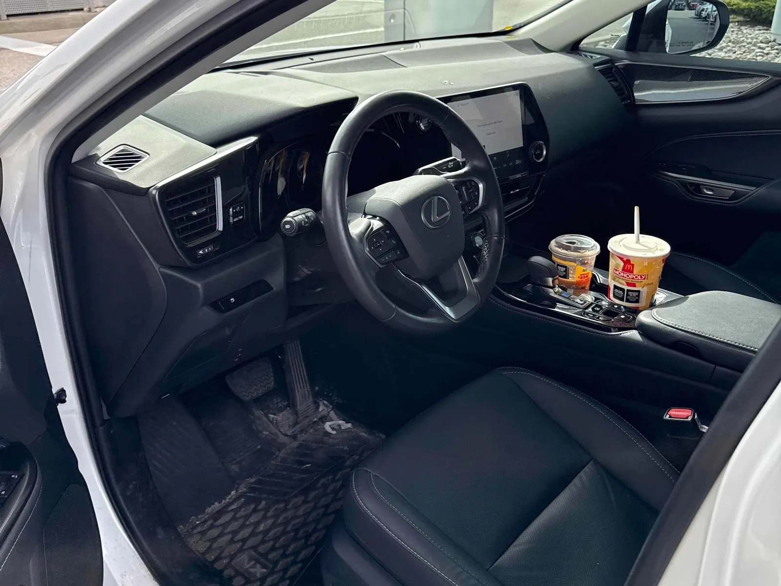Interior driver side
