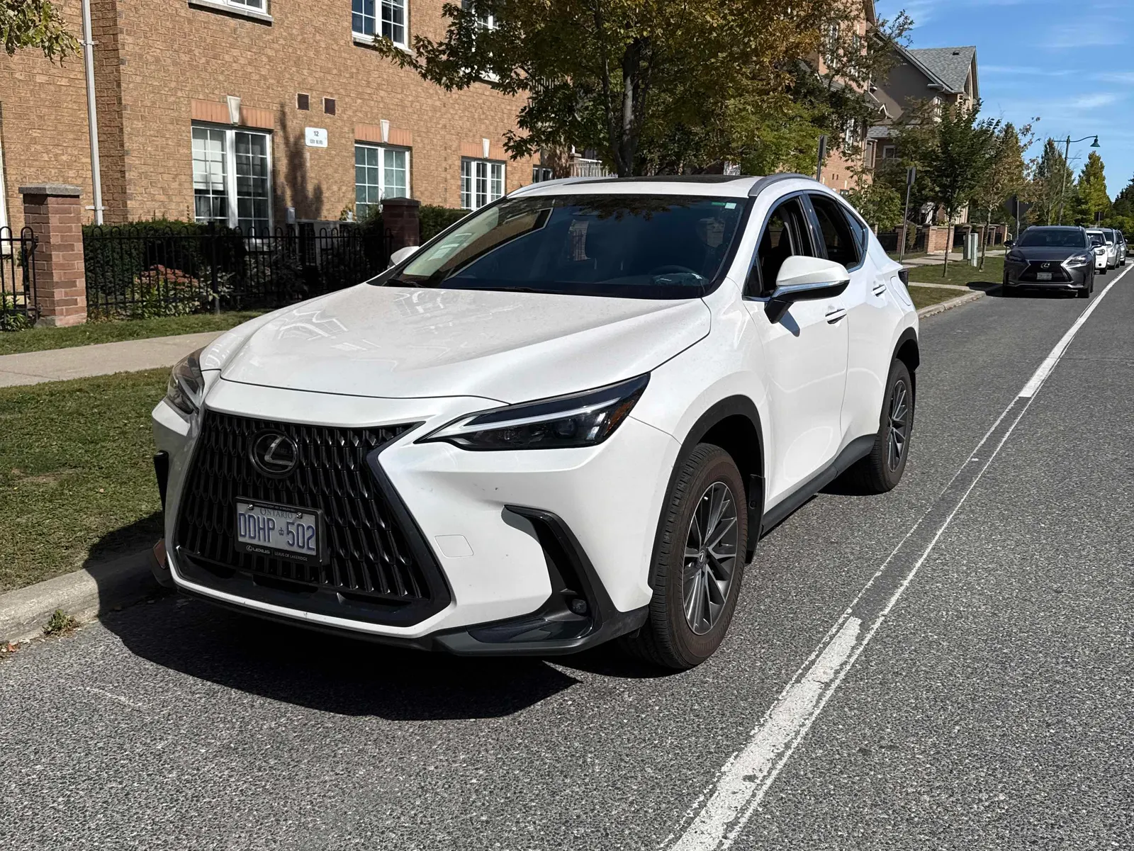2025 Lexus NX