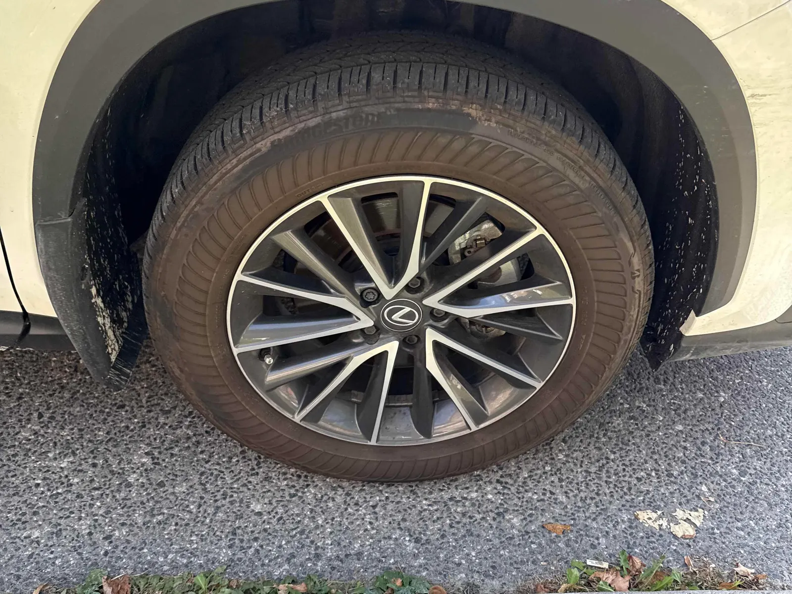 Tire
