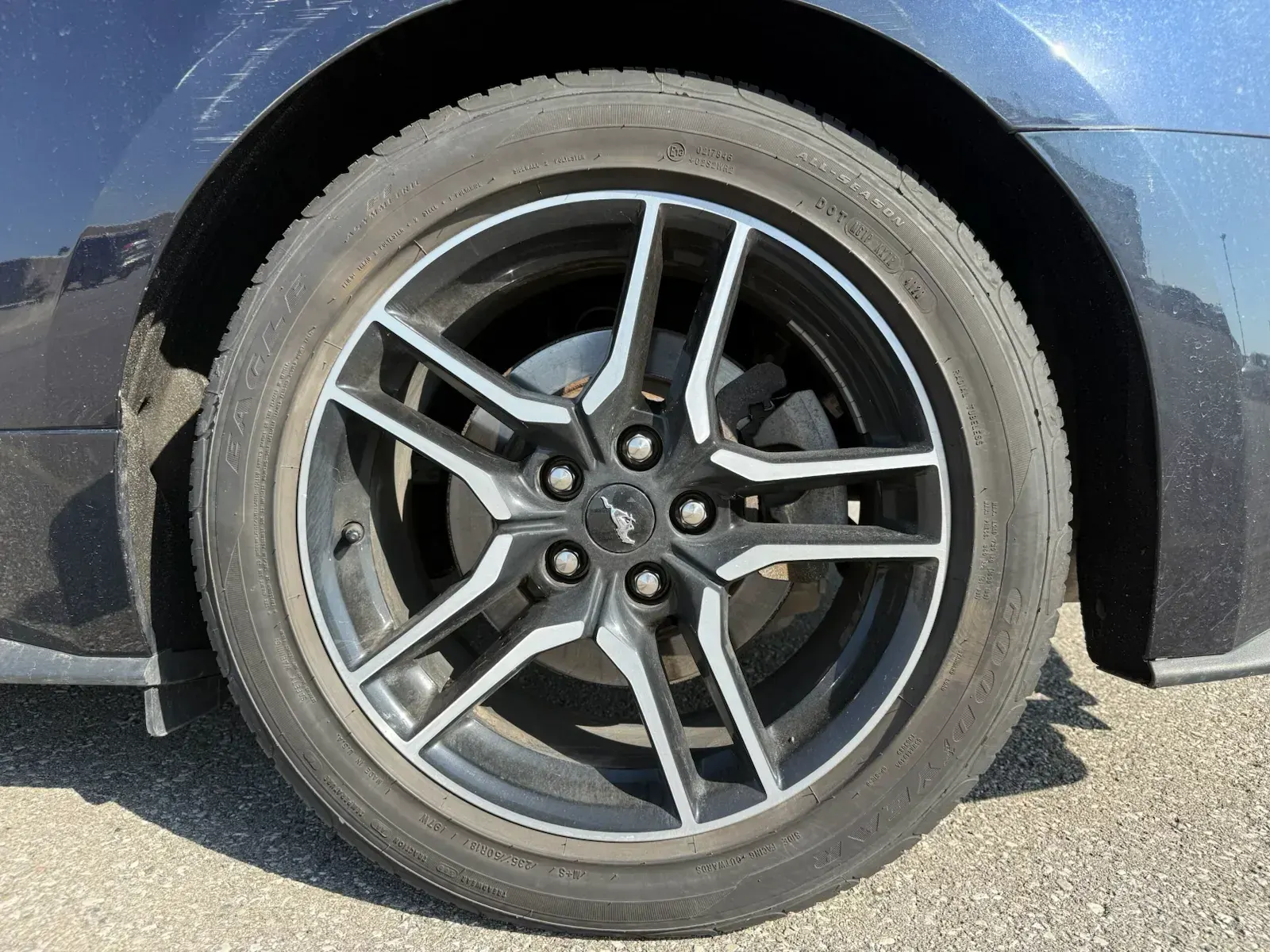 Tire