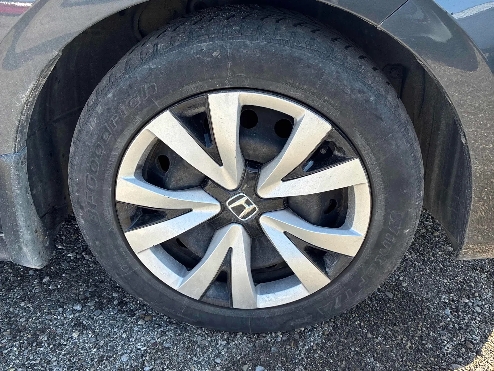 Tire