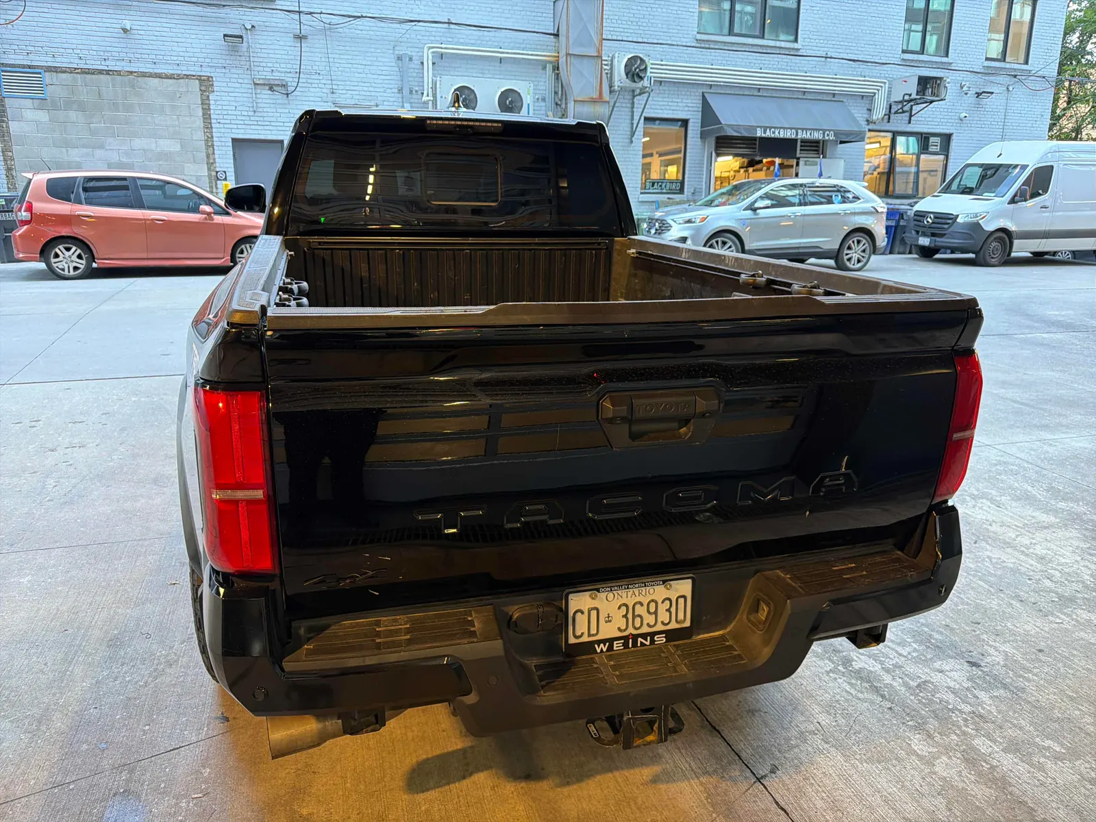 Back