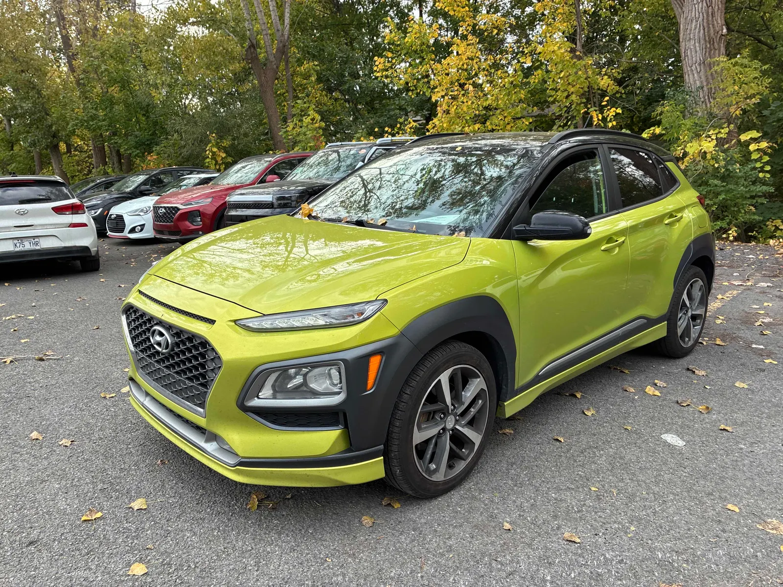 3/4 Front (Main image)