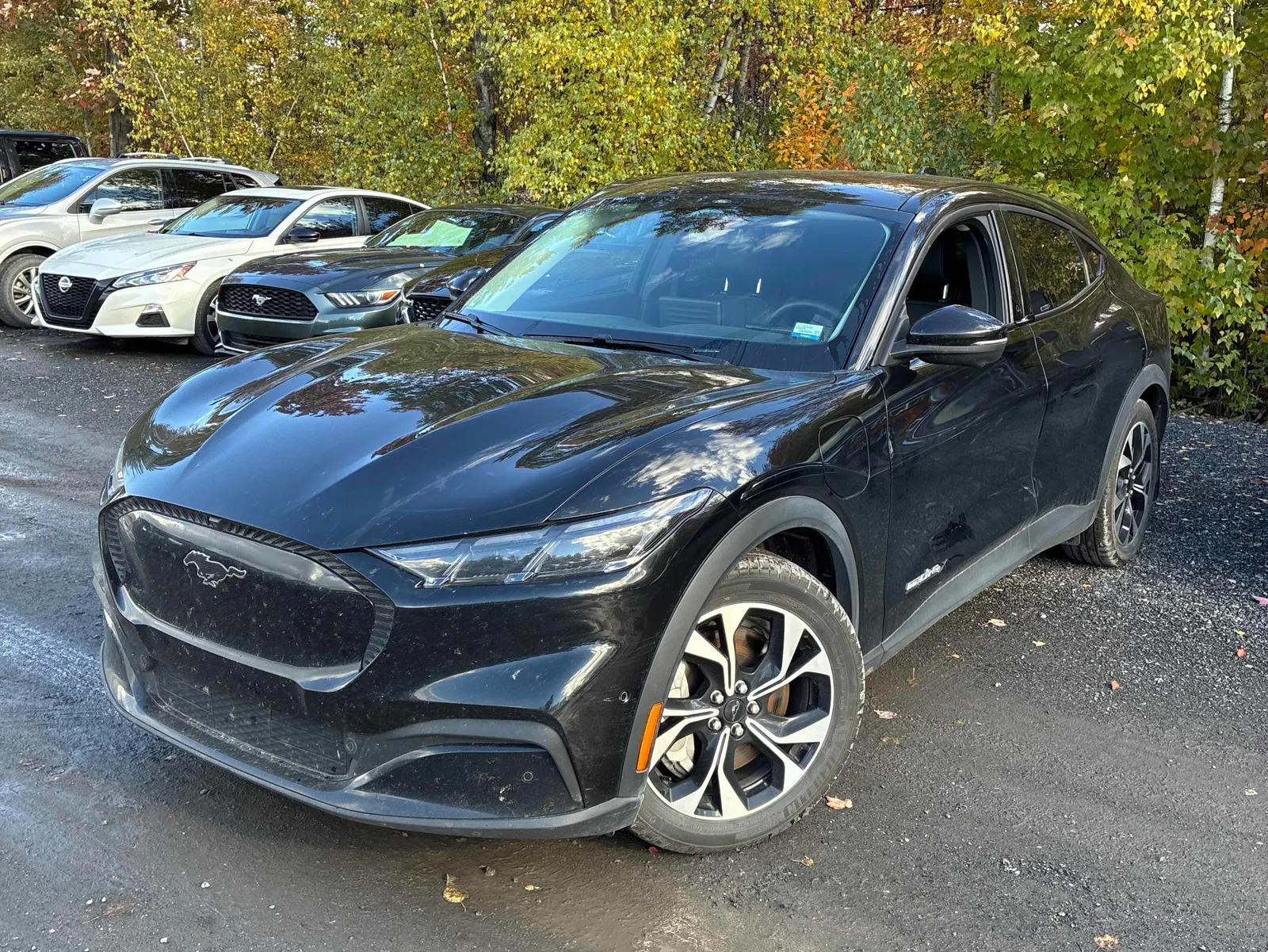 2024 Ford Mustang Mach-E