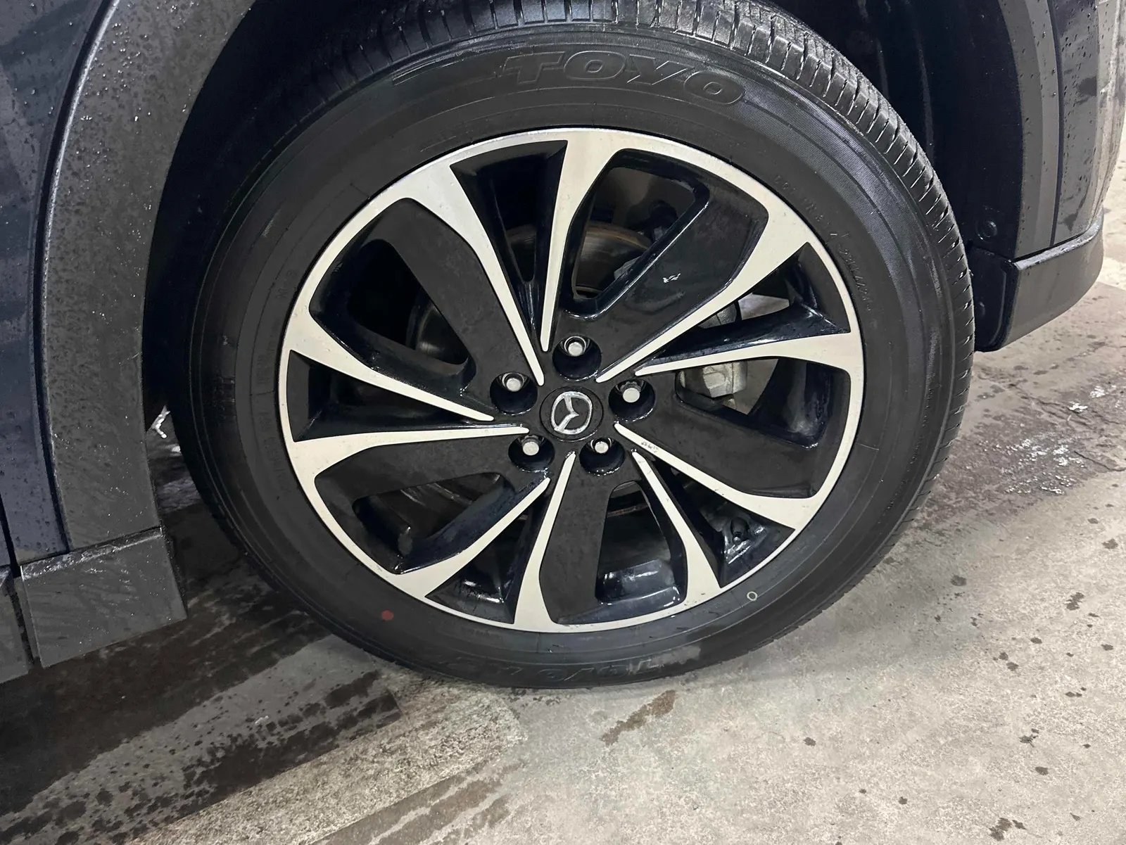 Tire