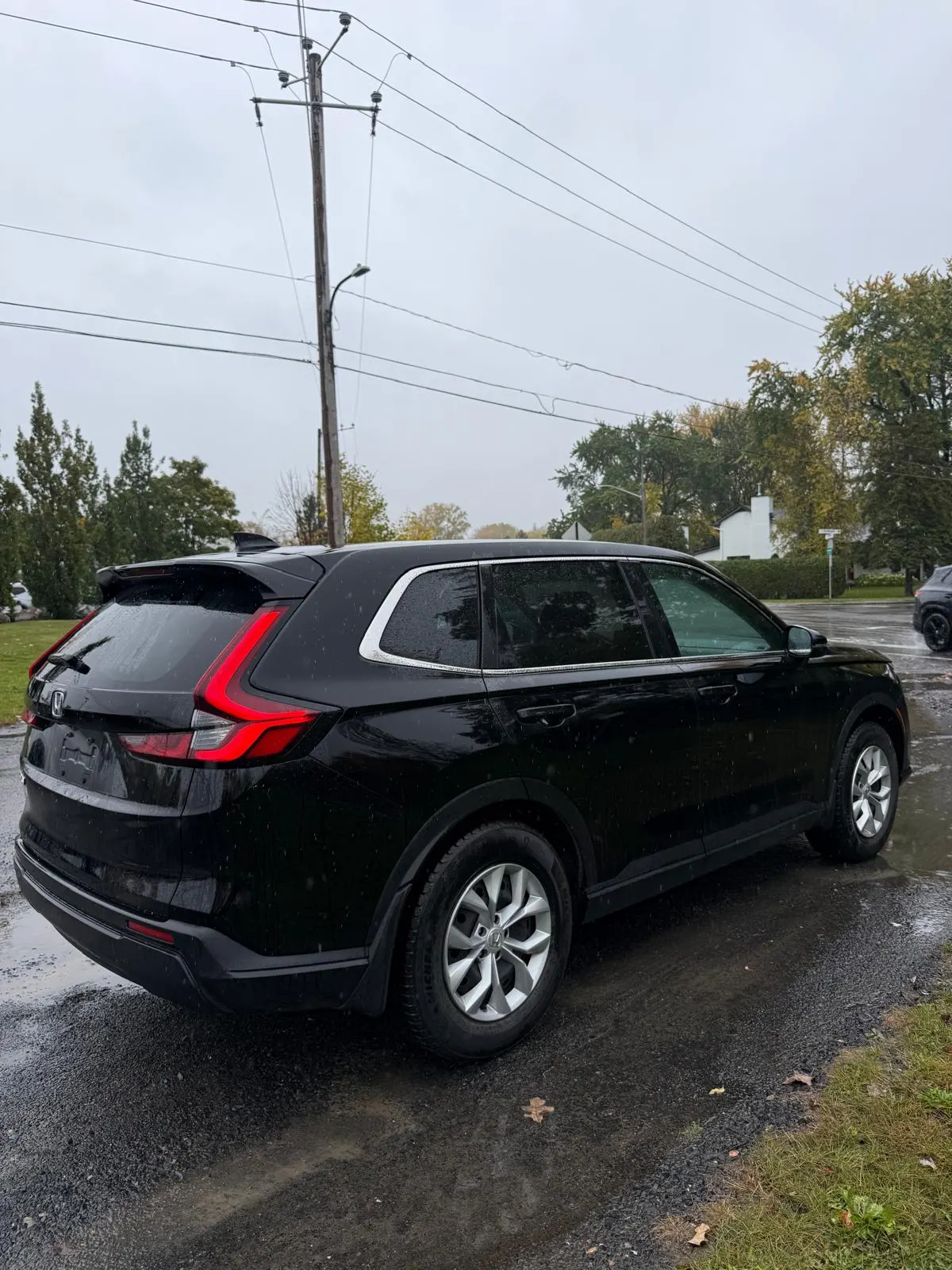 Additional Photo