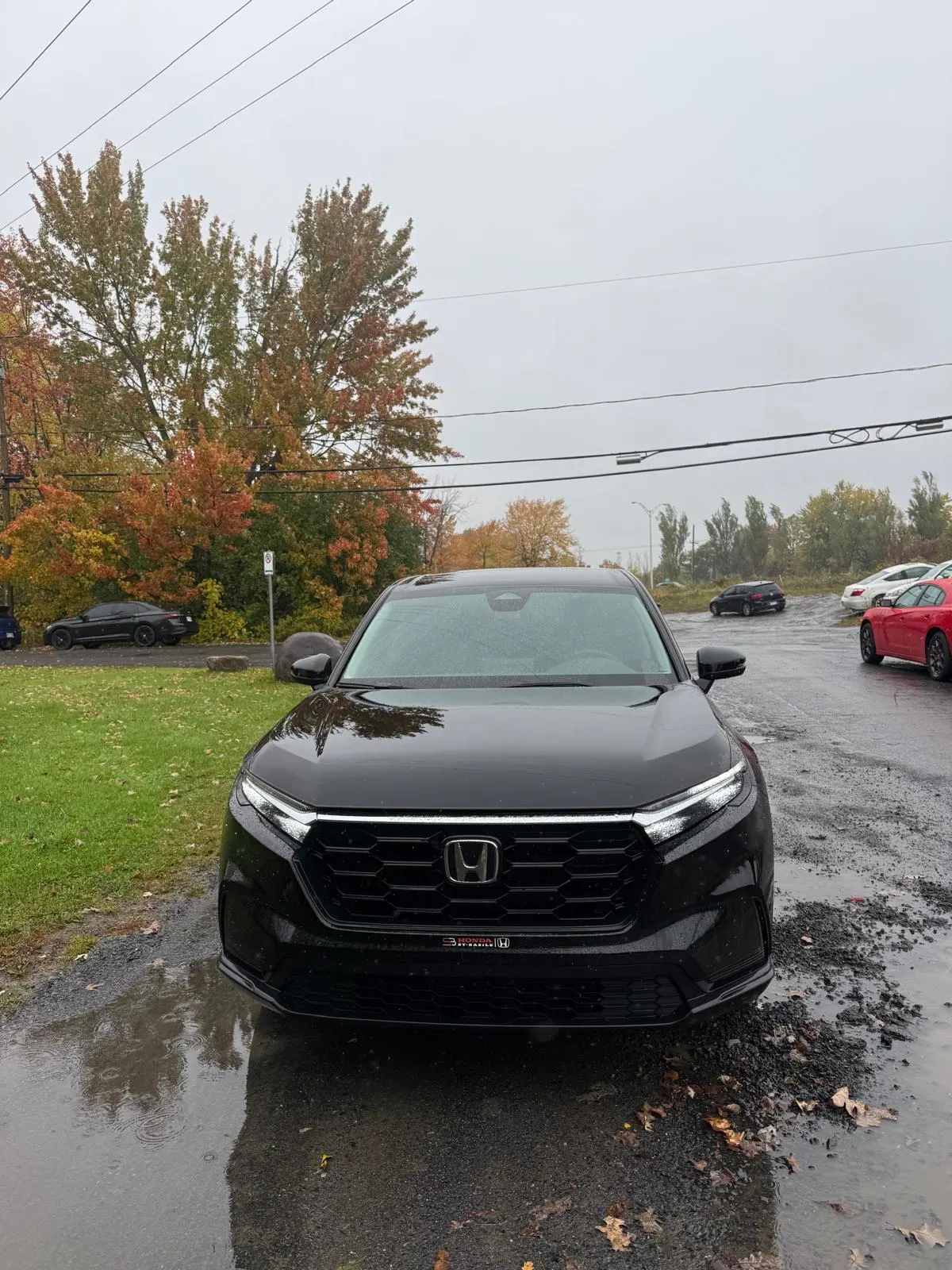 Front