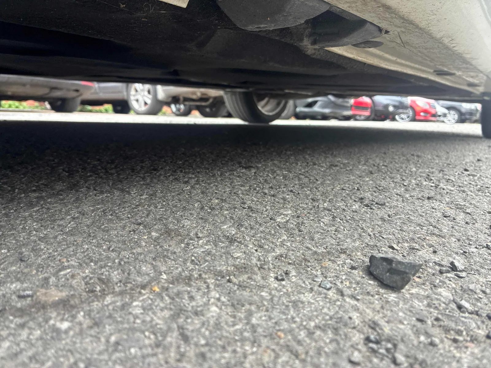 Additional Photo