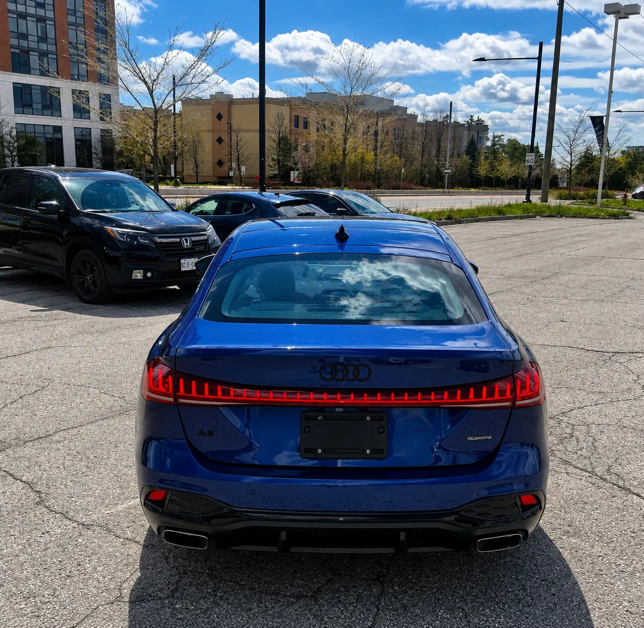 Back