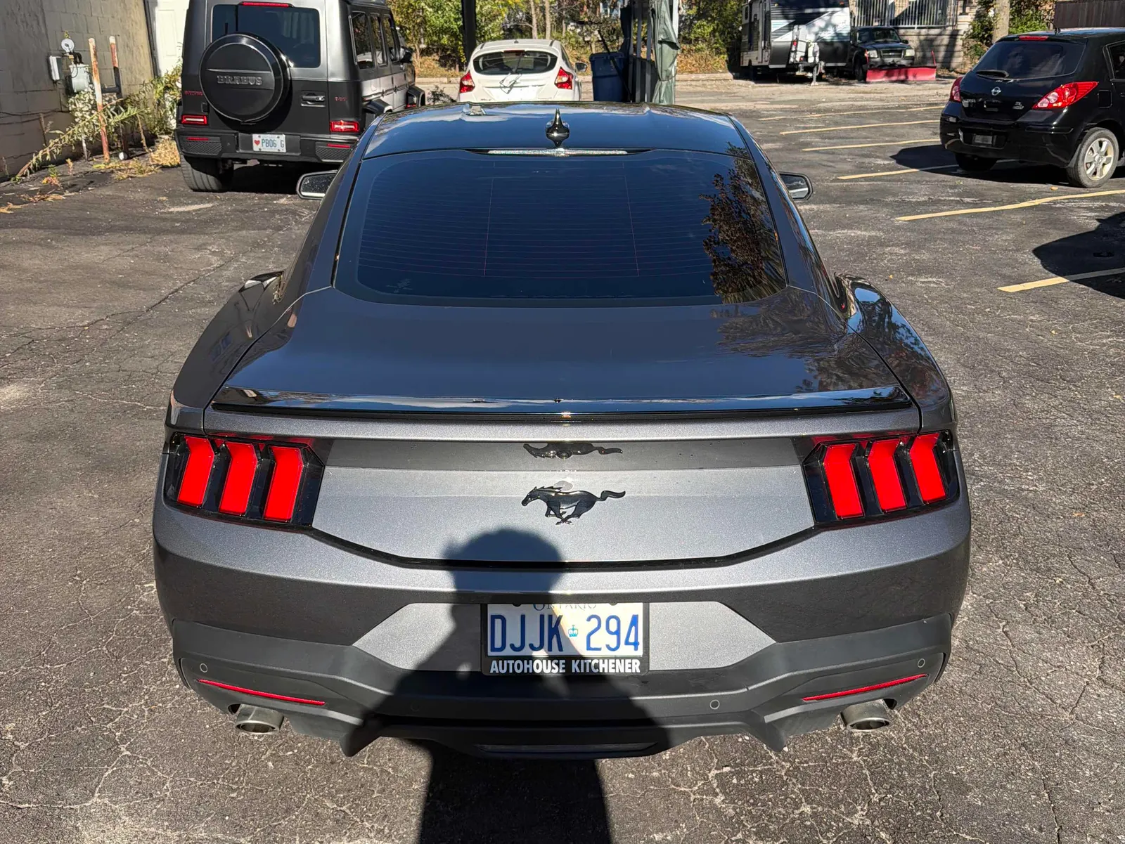 Back