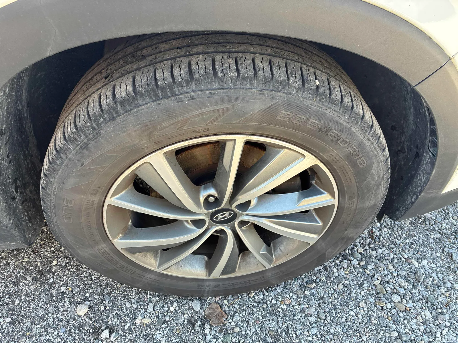 Tire