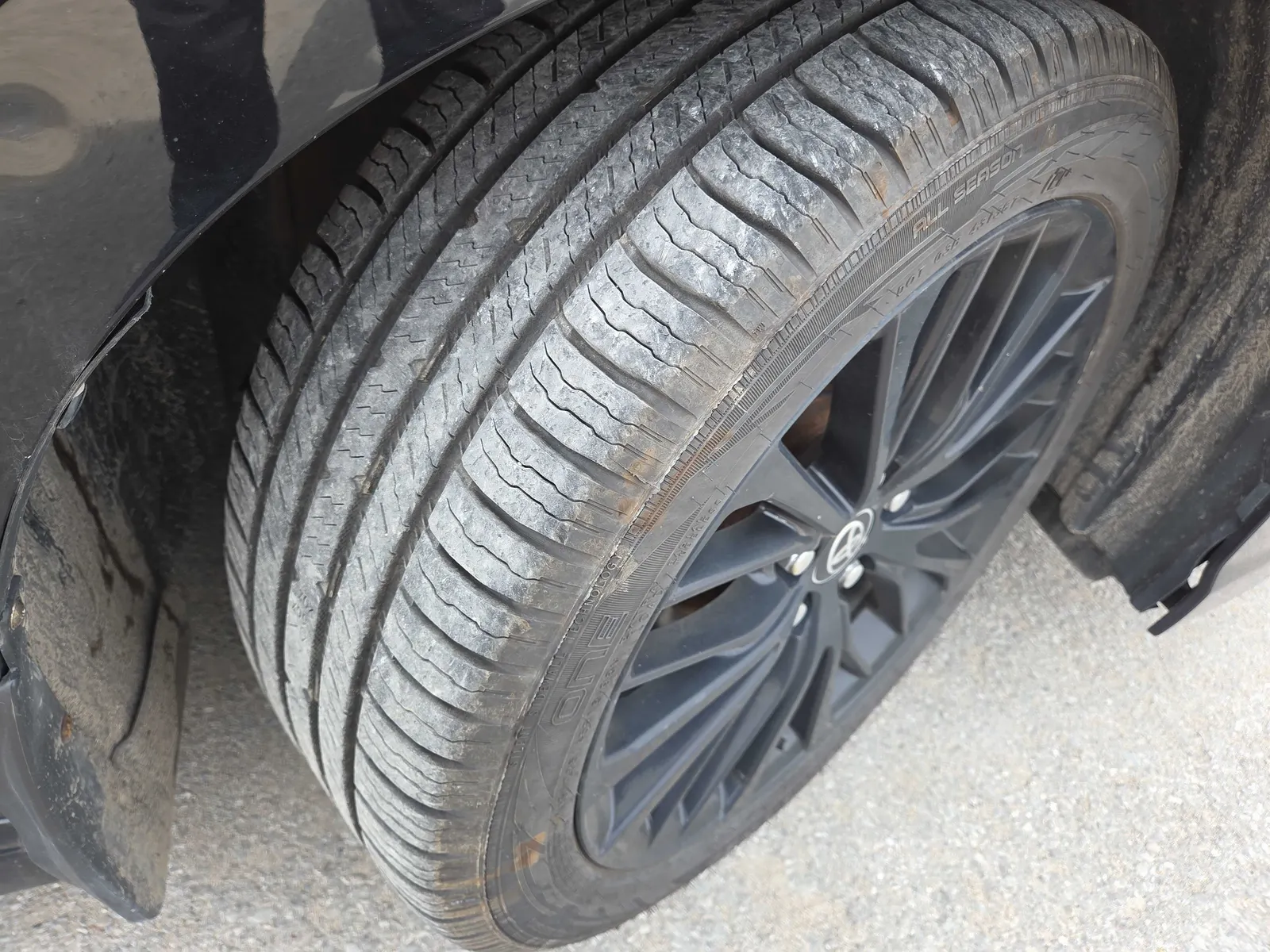 Tire