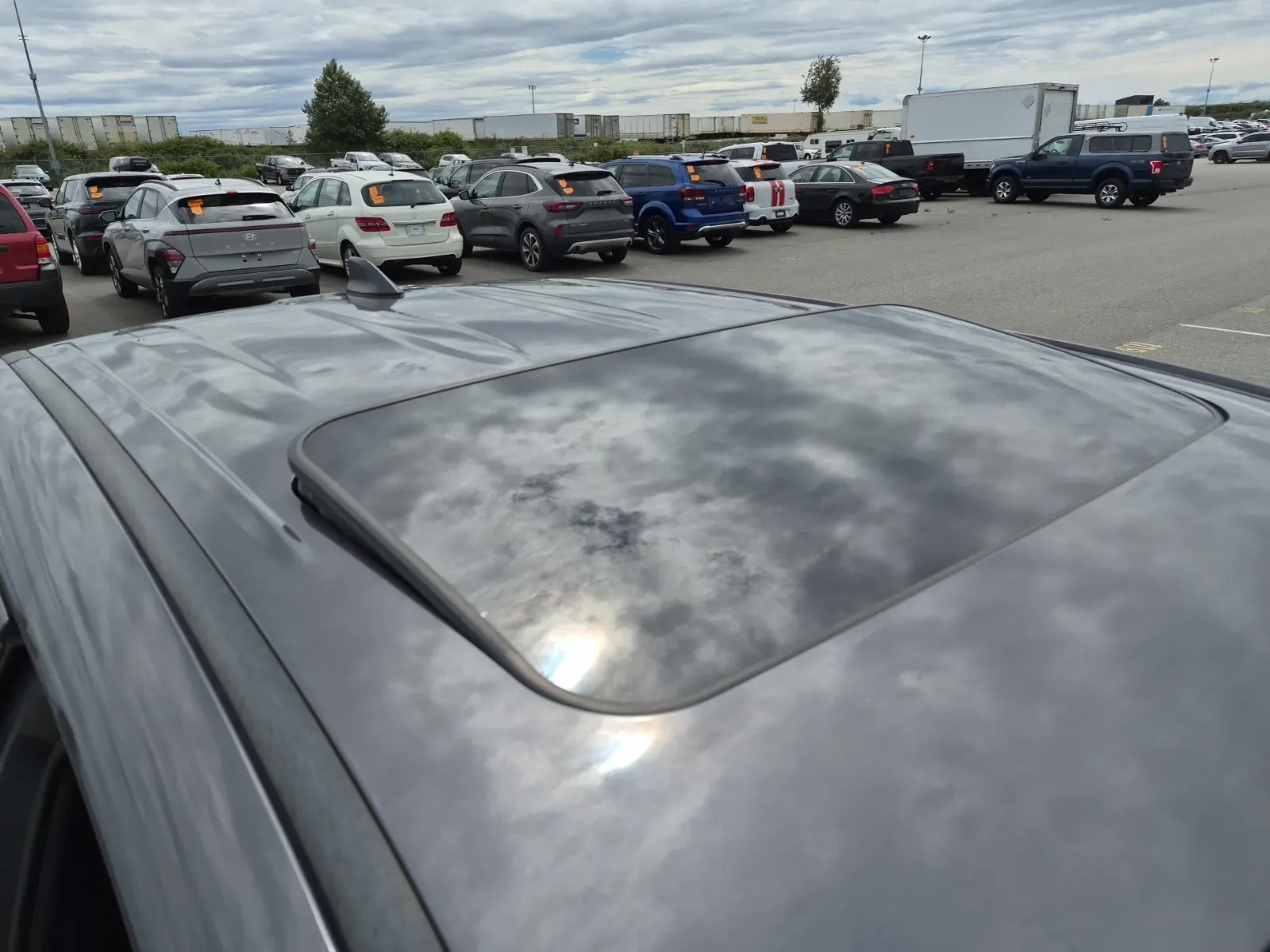Additional Photo