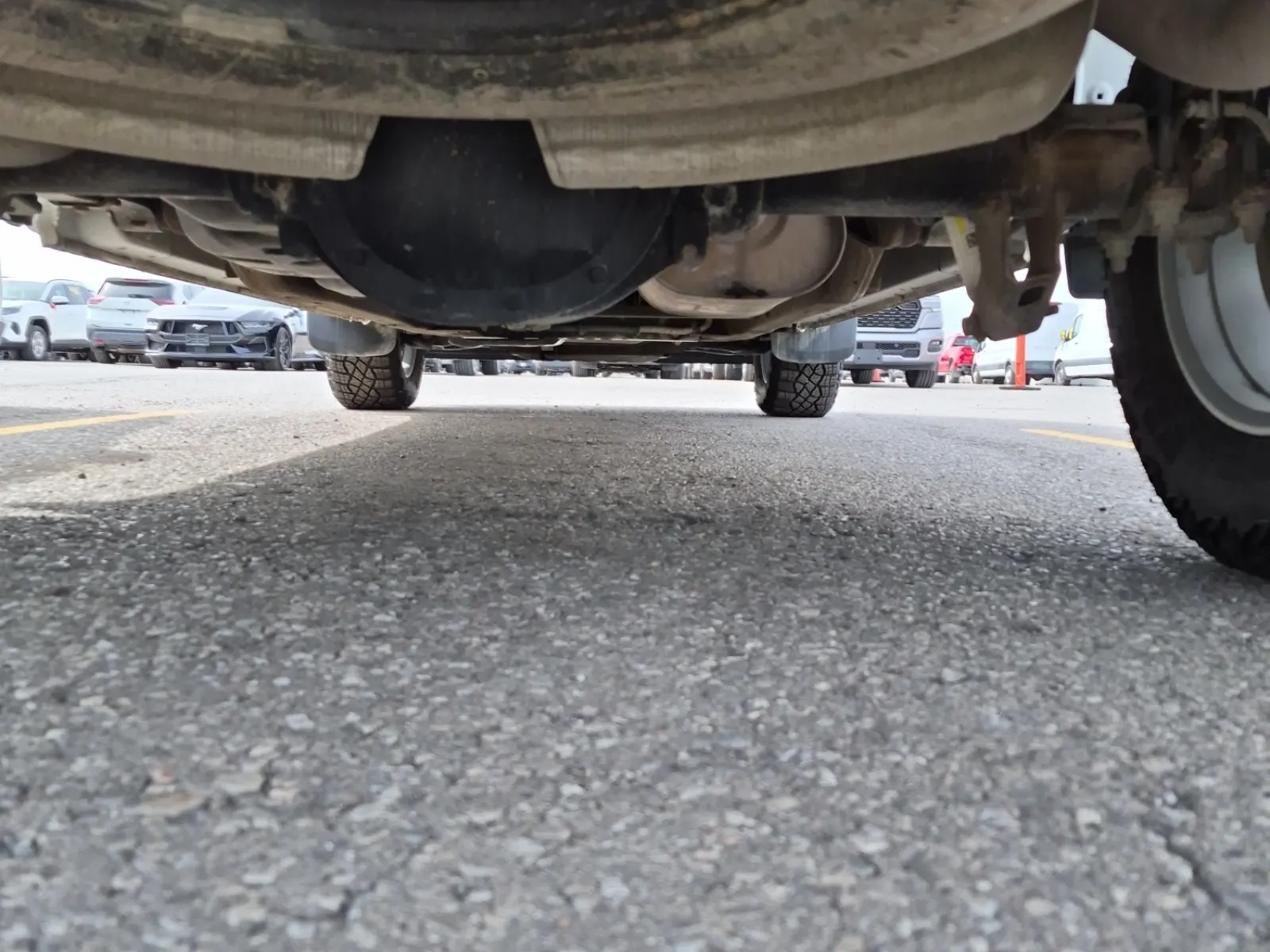 Undercarriage - Rear Photo