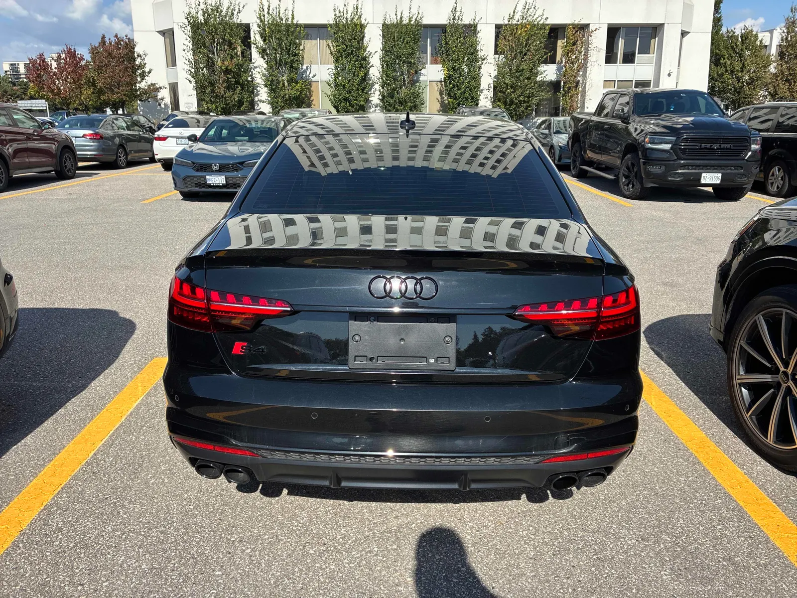 Back