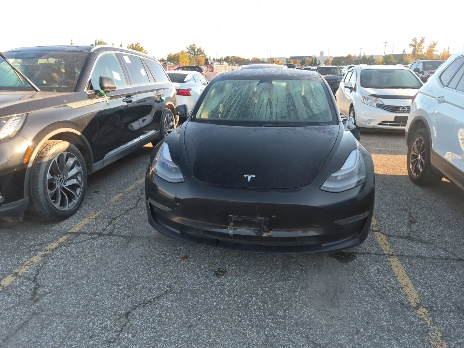 Full Front Photo