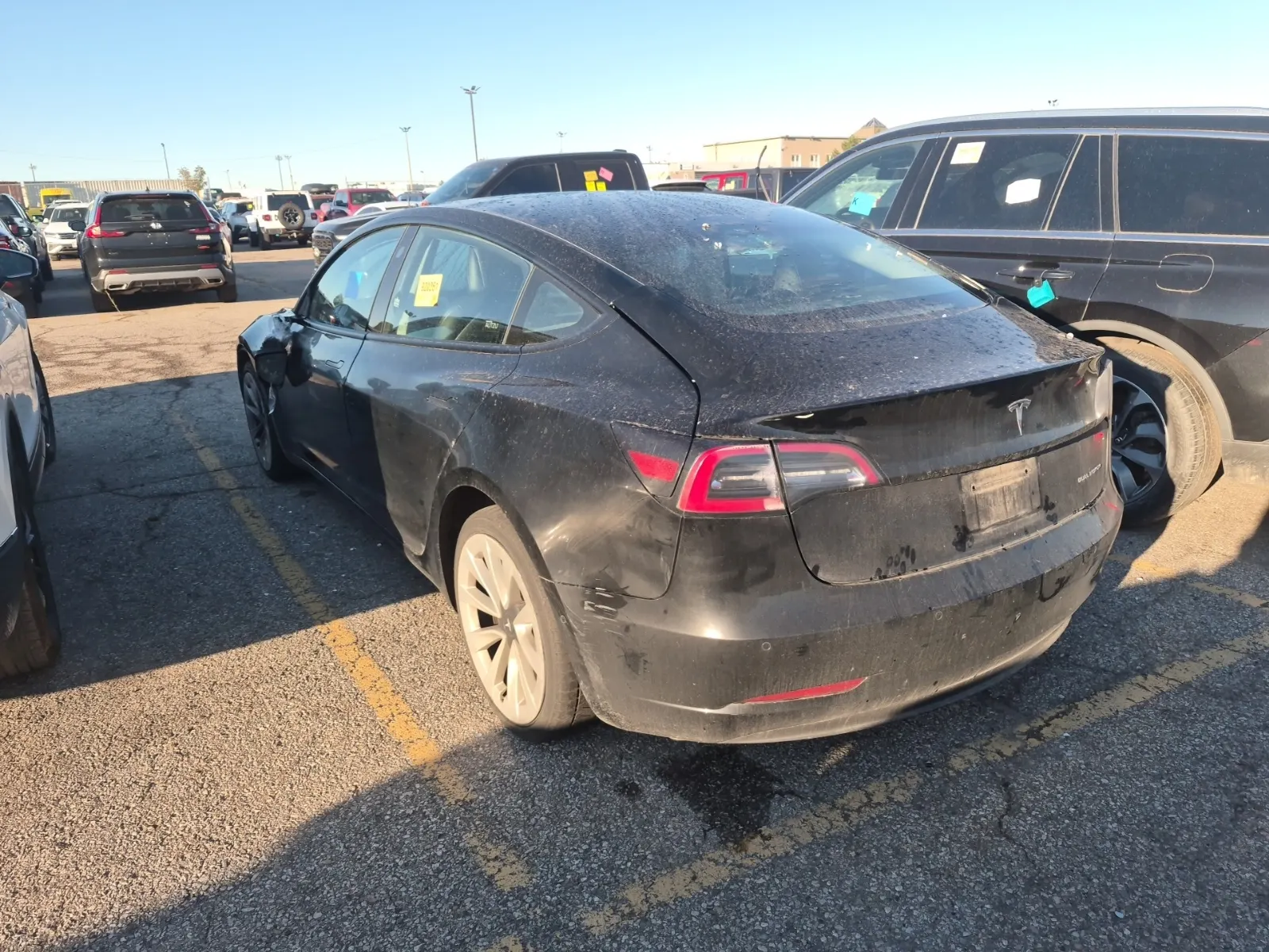 Driver Rear 3/4 Photo