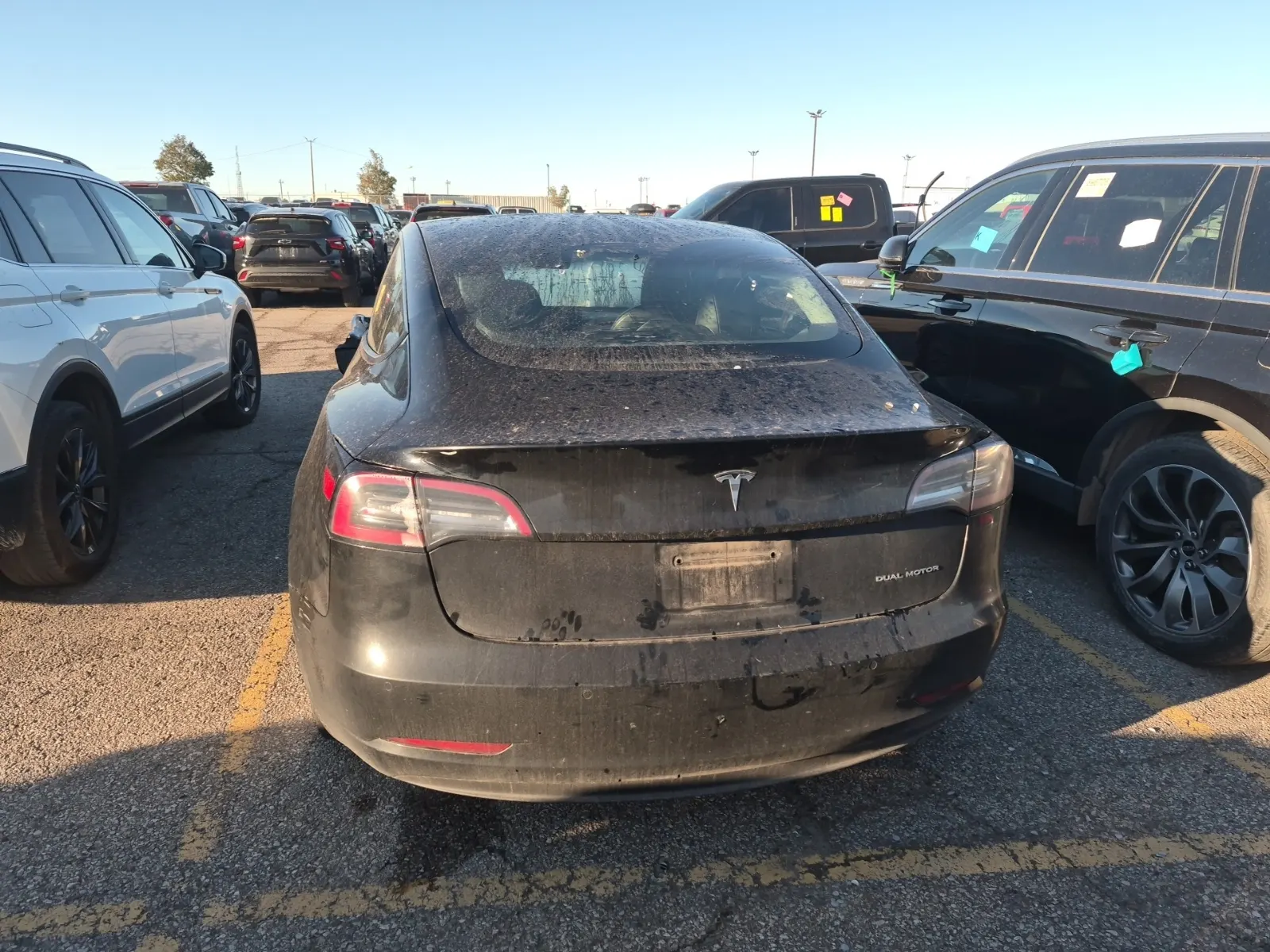 Full Rear Photo