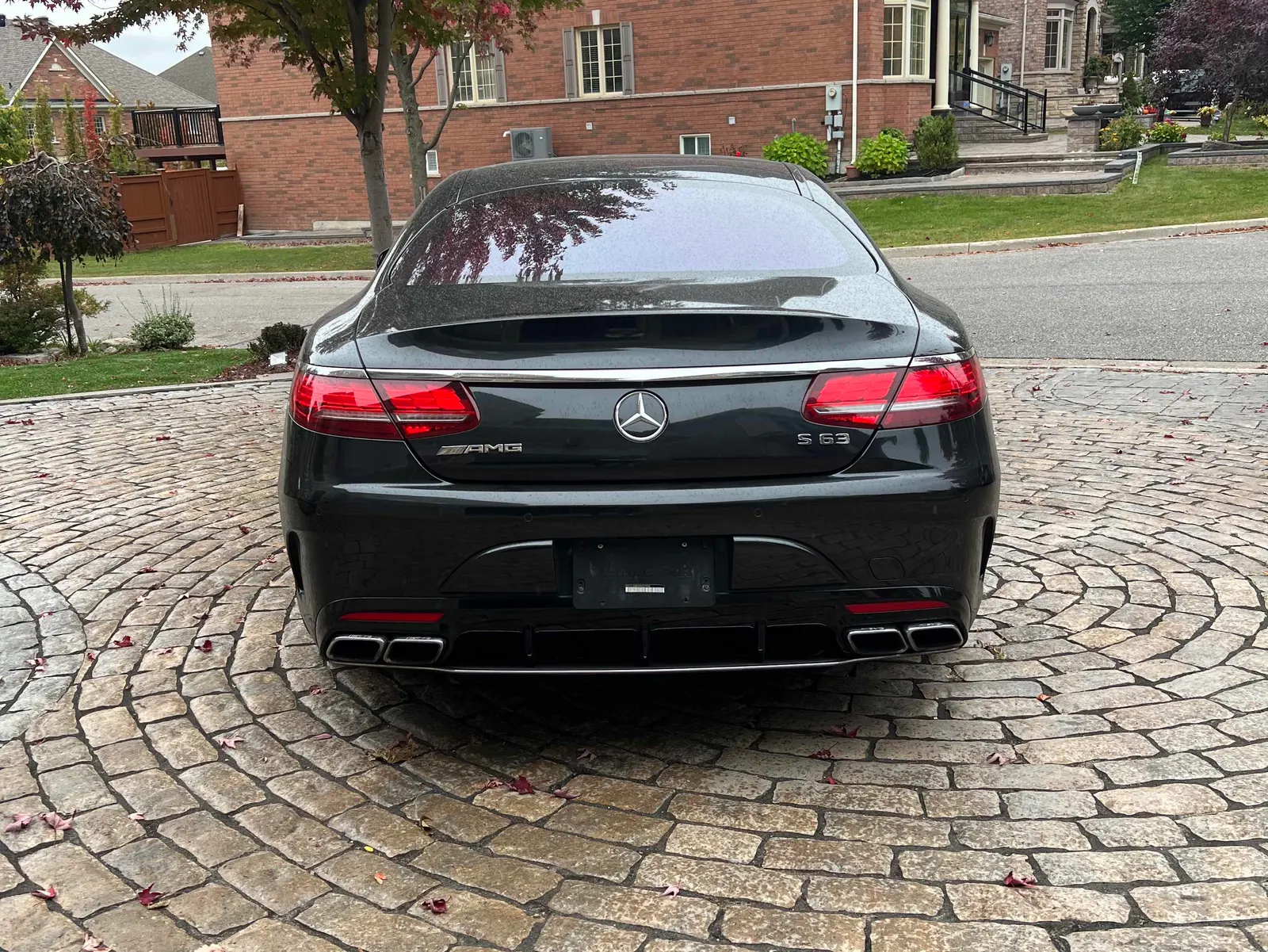 Back