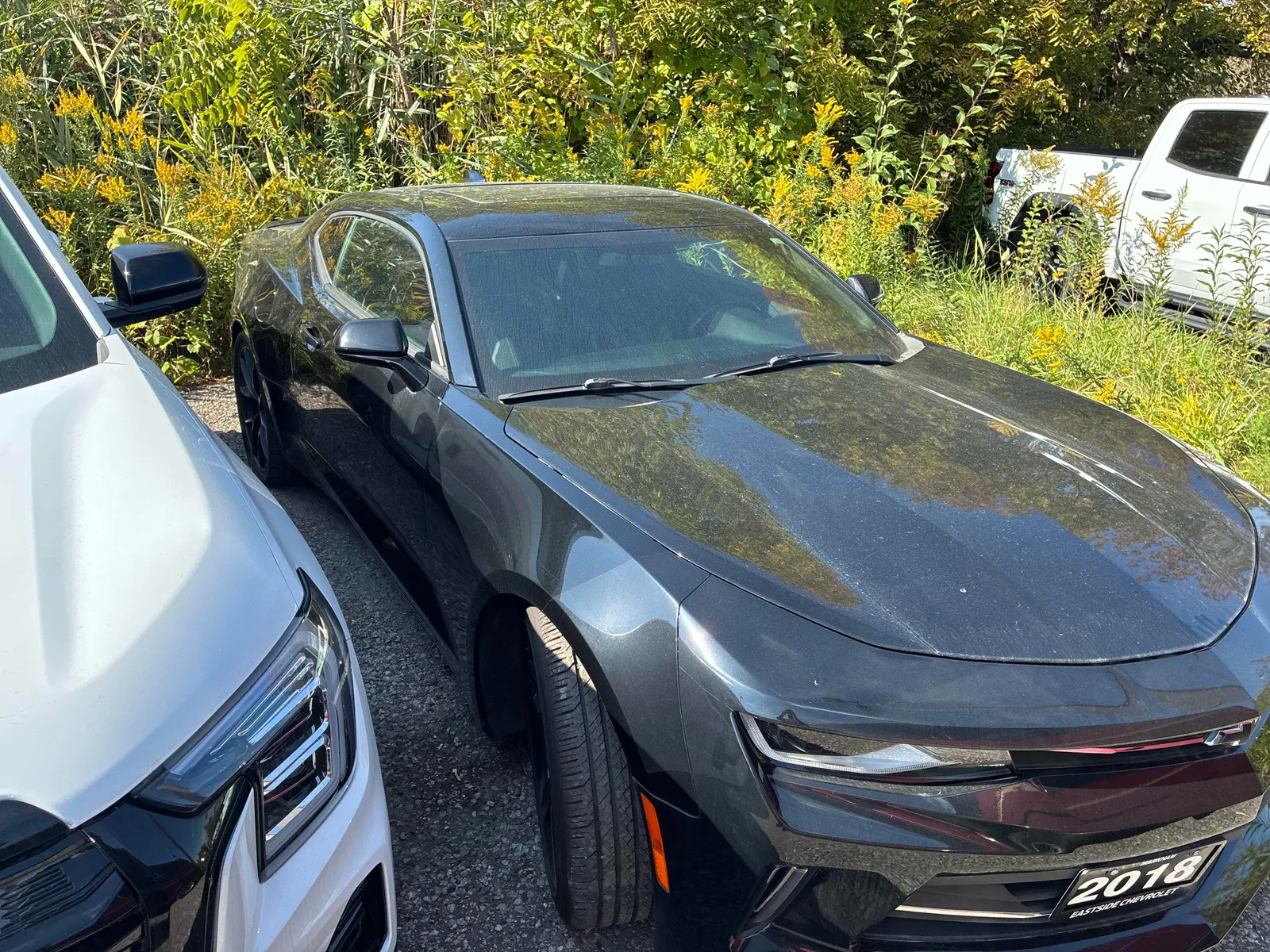 Passenger side